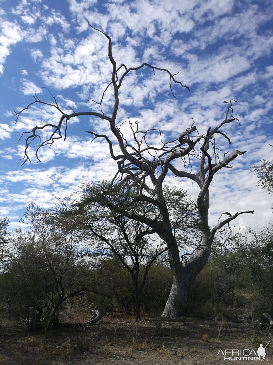 Hunting Area South Africa