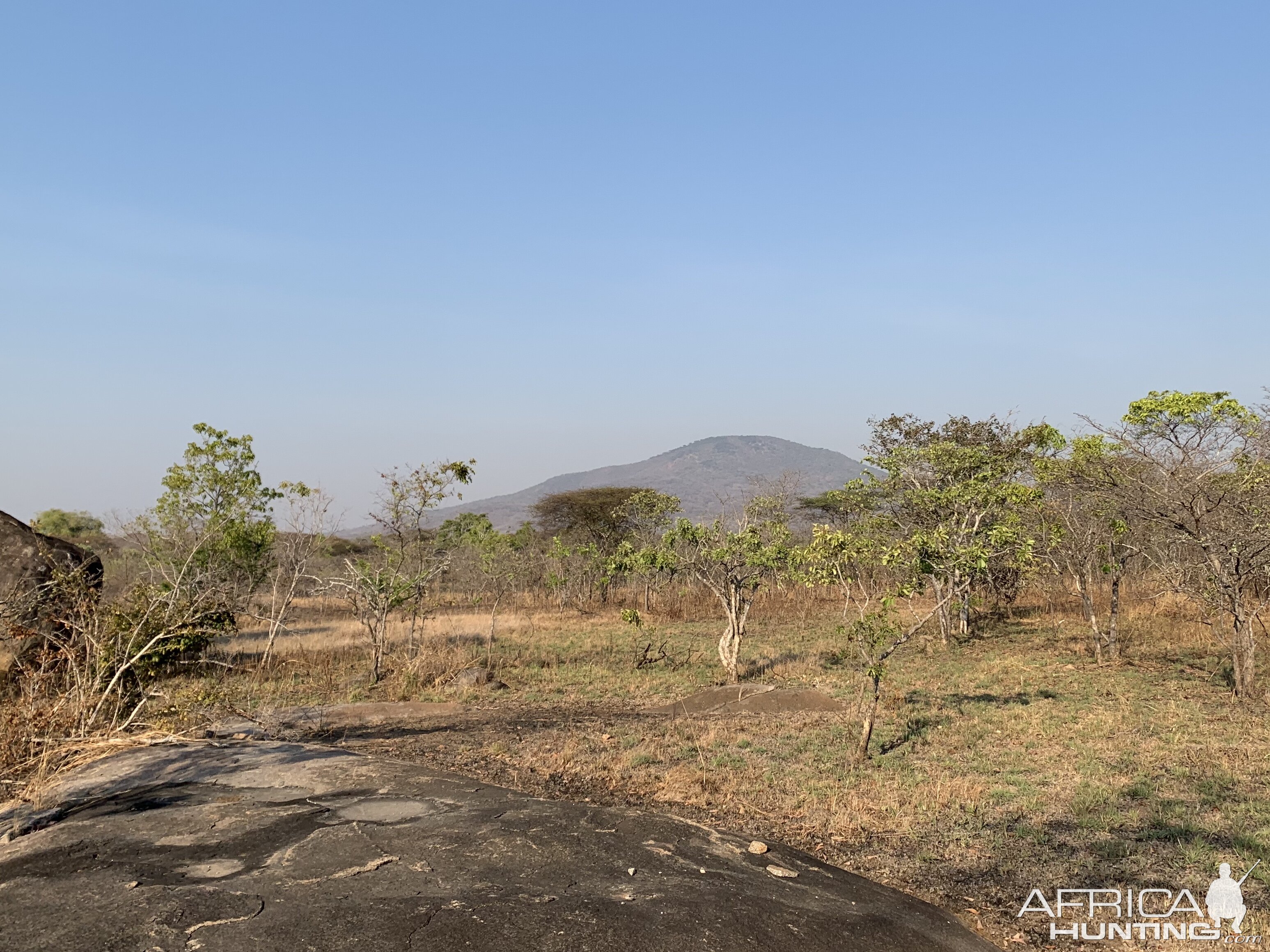 Hunting Area Tanzania