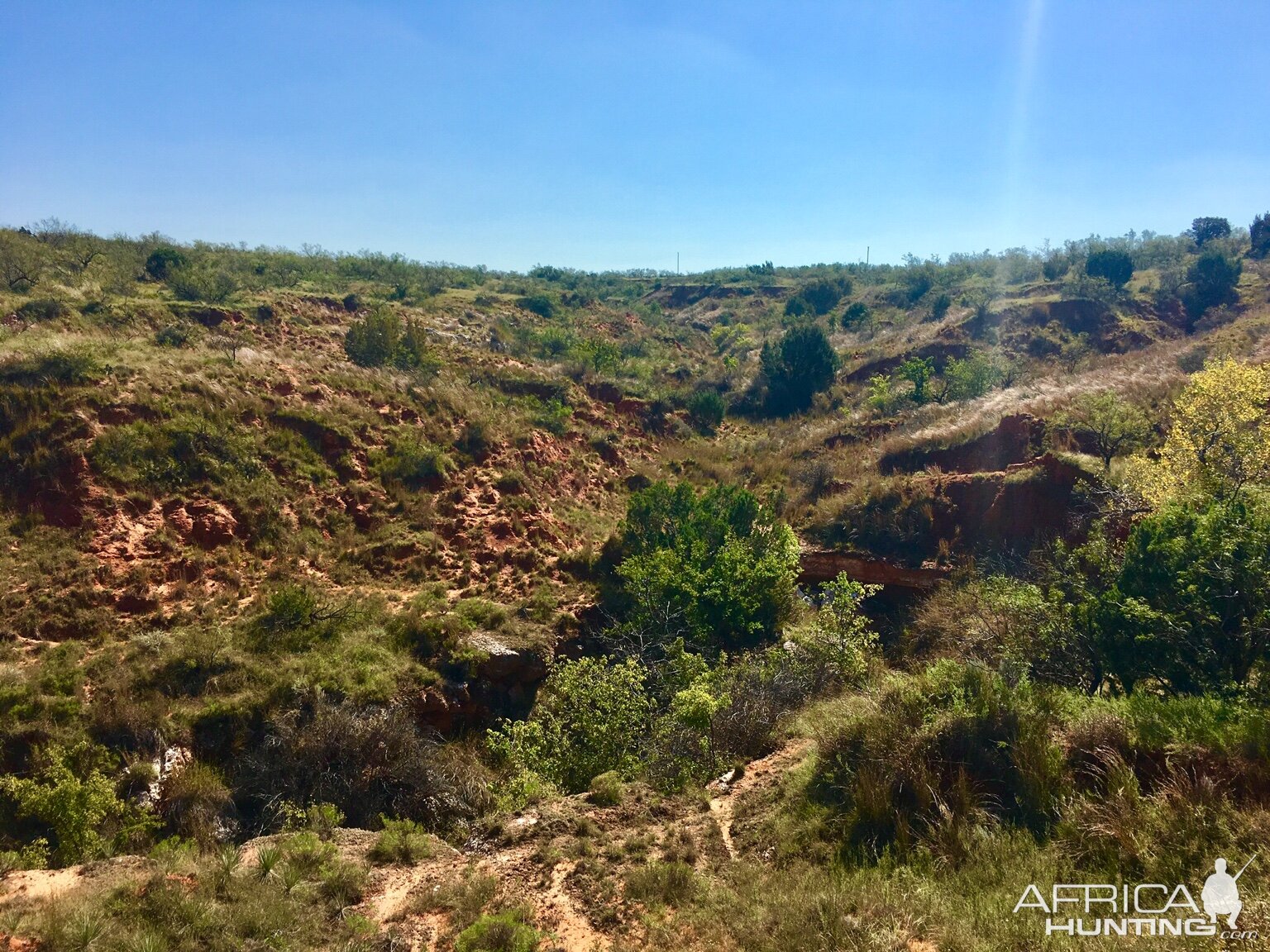 Hunting Area West Texas