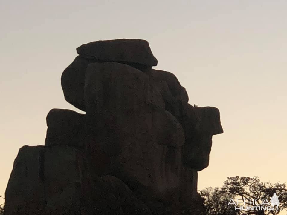 Hunting Area Zimbabwe