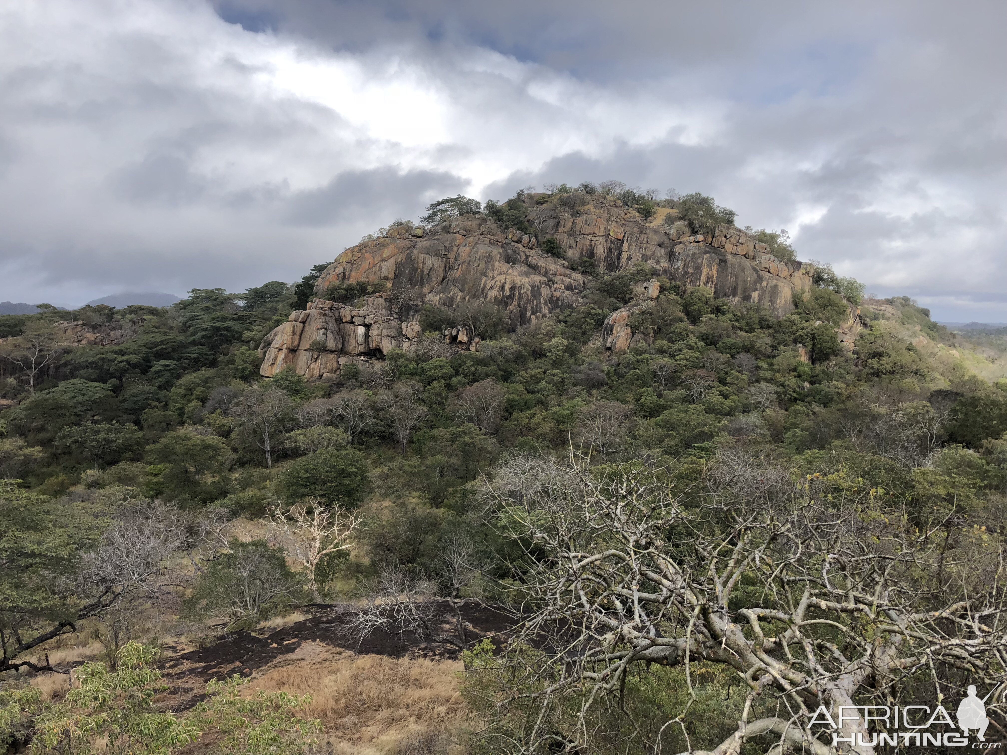 Hunting Area Zimbabwe