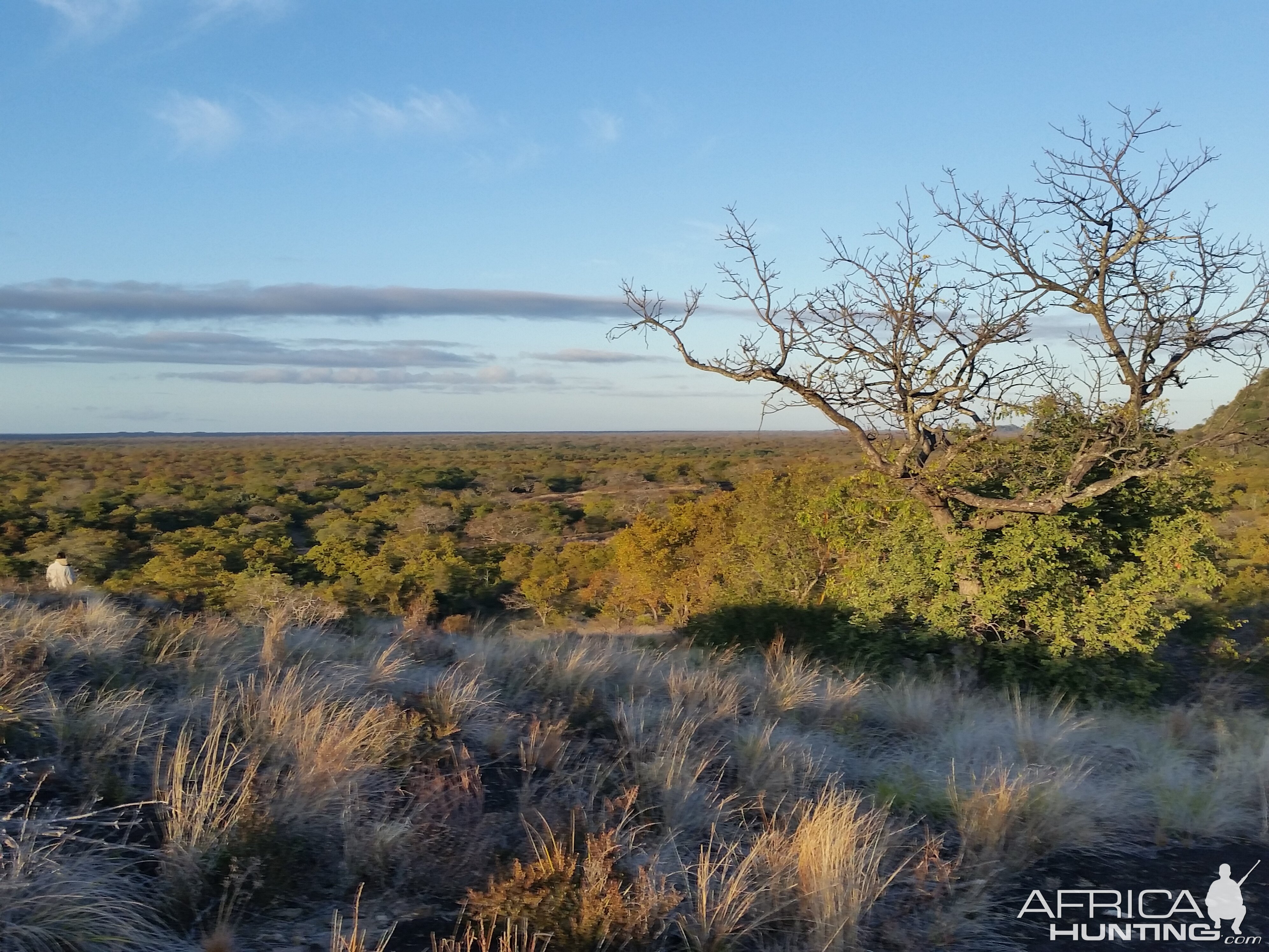 Hunting Area Zimbabwe