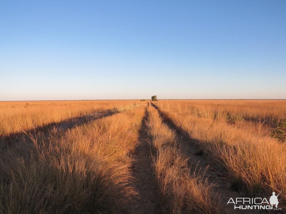 Hunting Area Zimbabwe