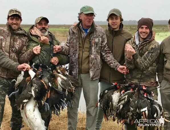 Hunting Argentina Duck