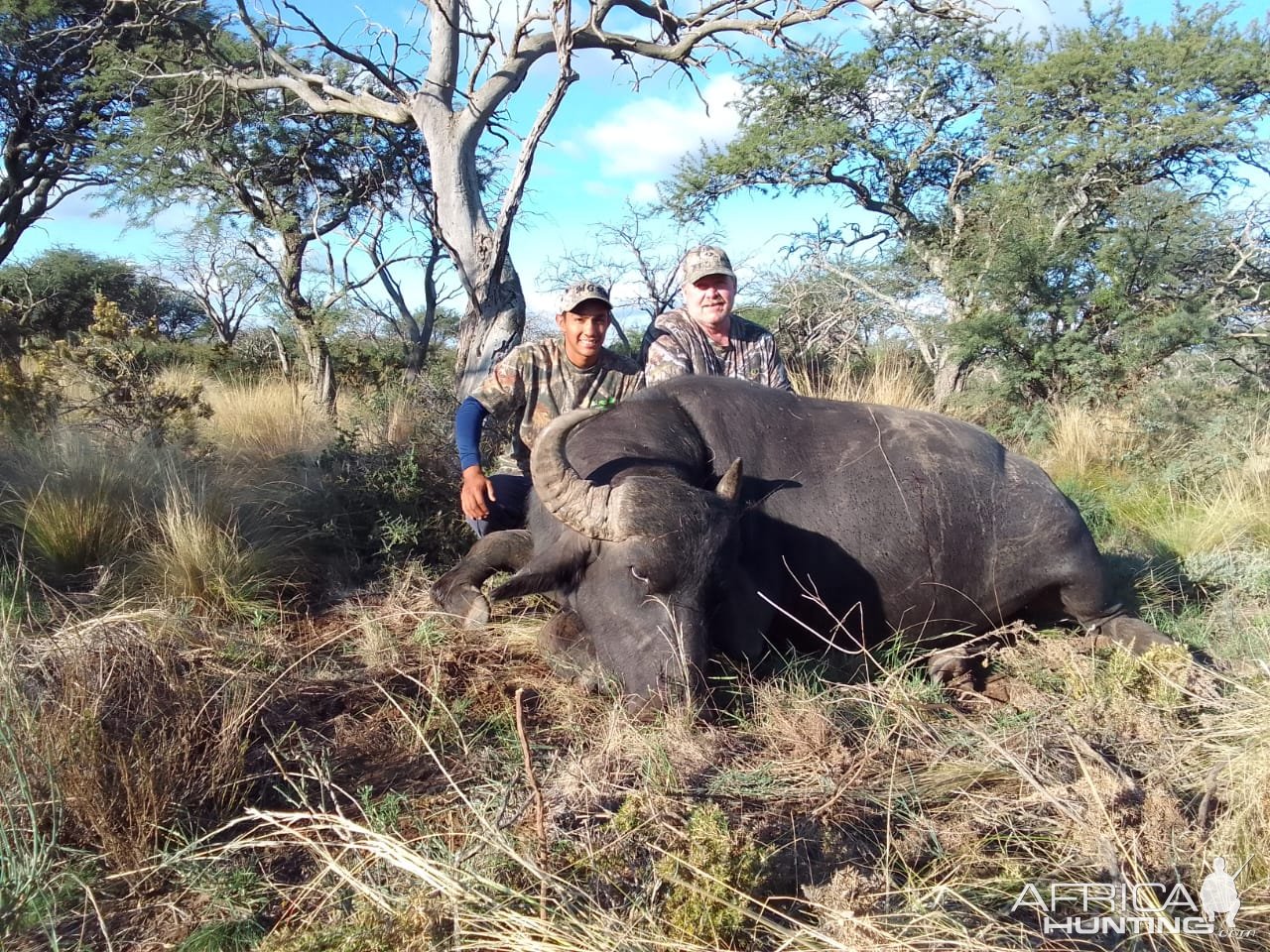 Hunting Asian Water Buffalo Argentina