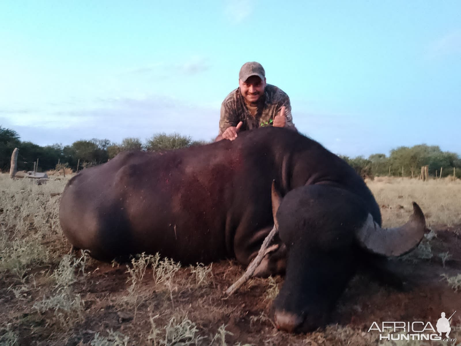 Hunting Asian Water Buffalo Argentina