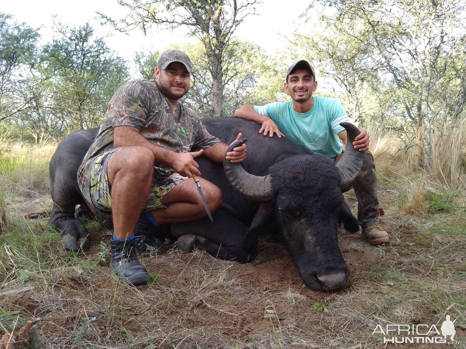 Hunting Asian Water Buffalo Argentina