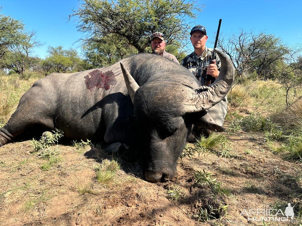 Hunting Asian Water Buffalo Argentina