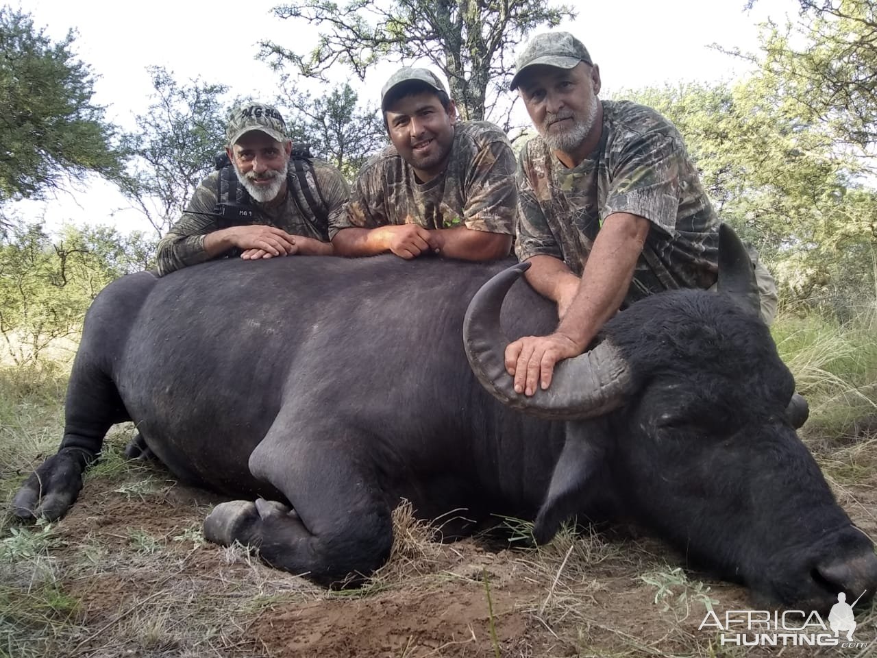 Hunting Asian Water Buffalo Argentina