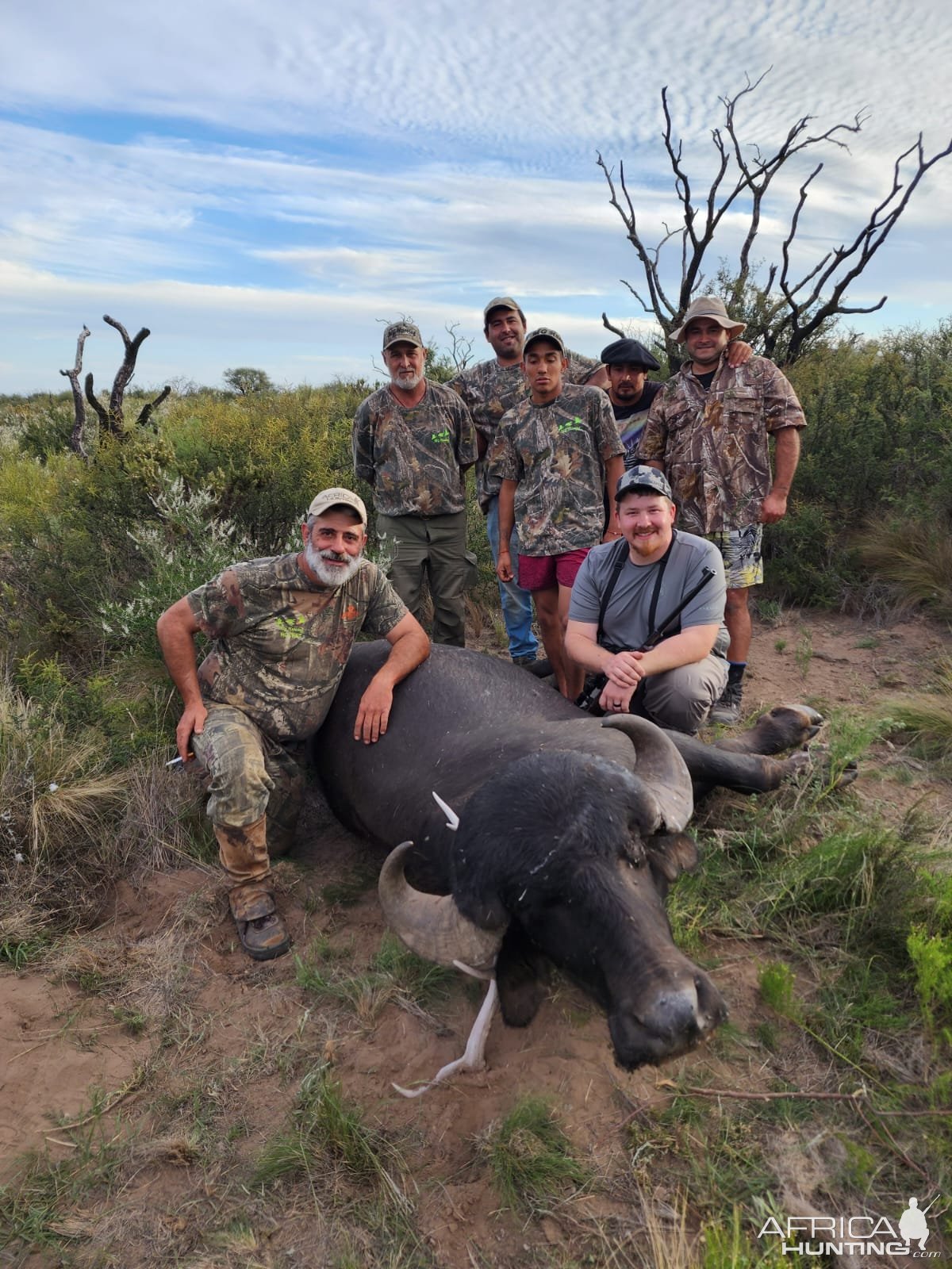 Hunting Asian Water Buffalo Argentina