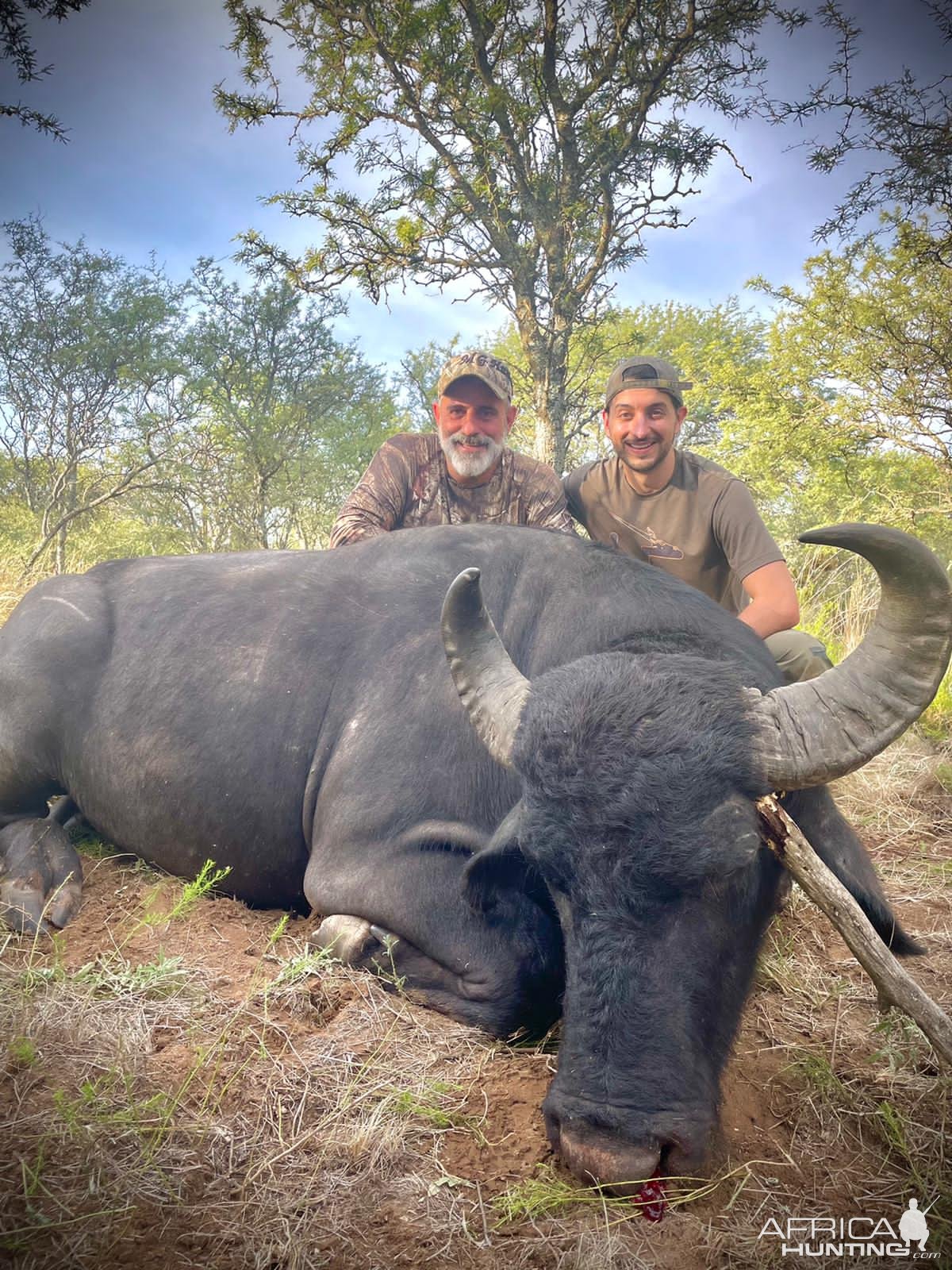 Hunting Asian Water Buffalo Argentina