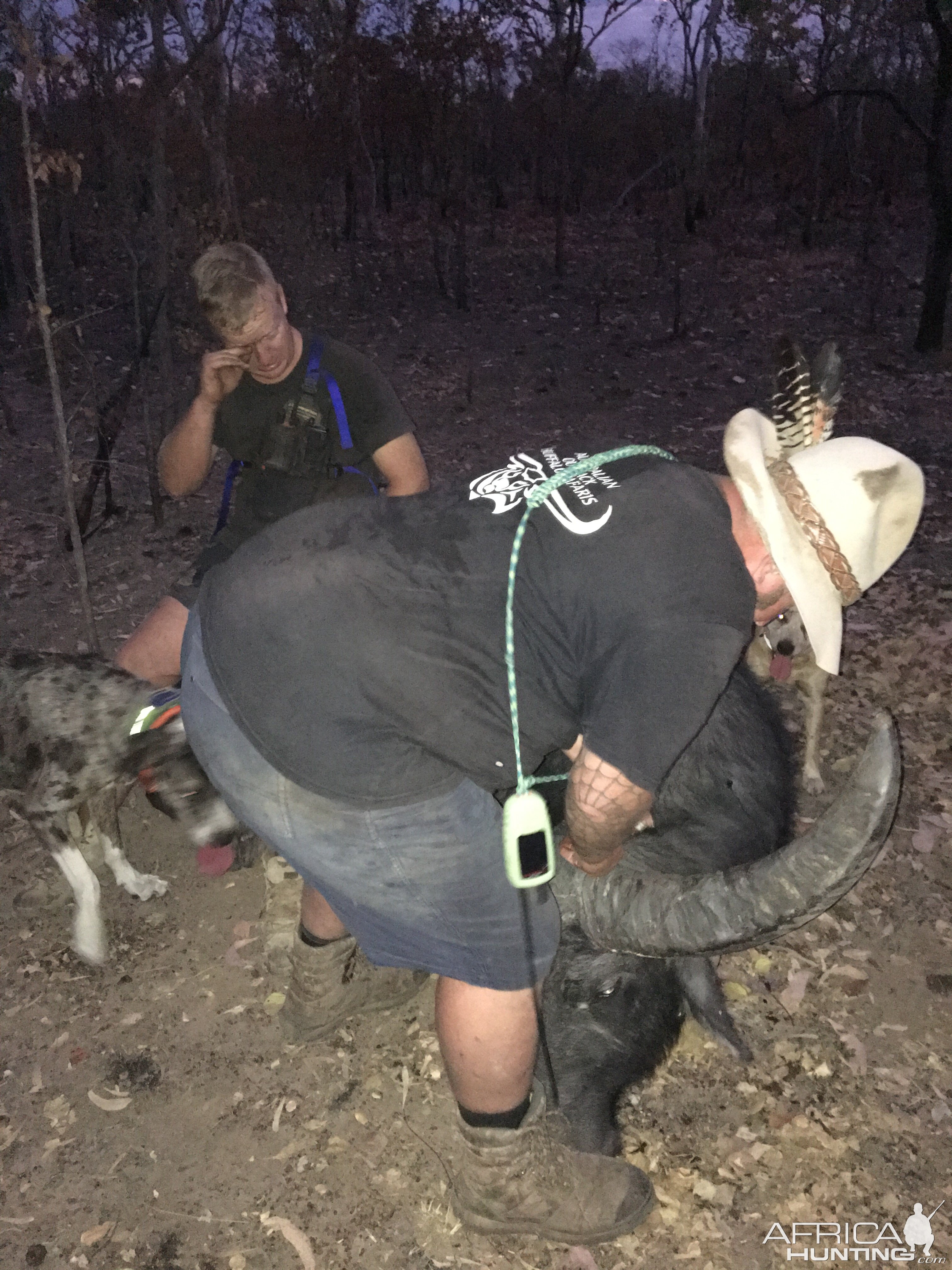 Hunting Asiatic Water Buffalo Australia