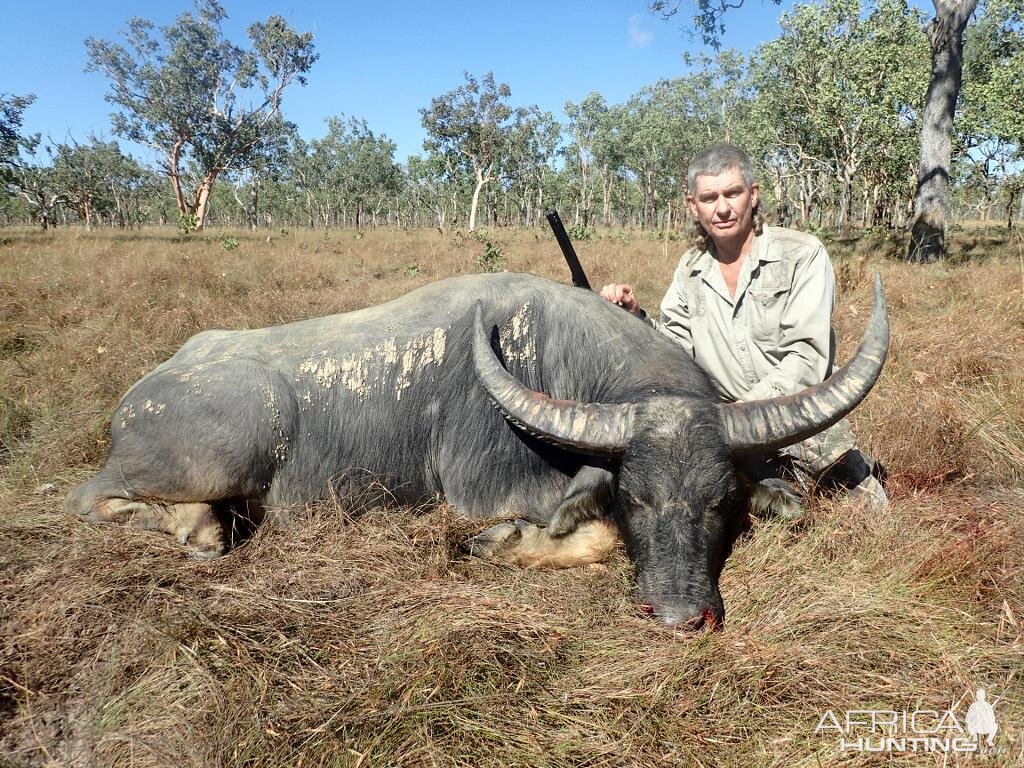 Hunting Asiatic Water Buffalo in Australia