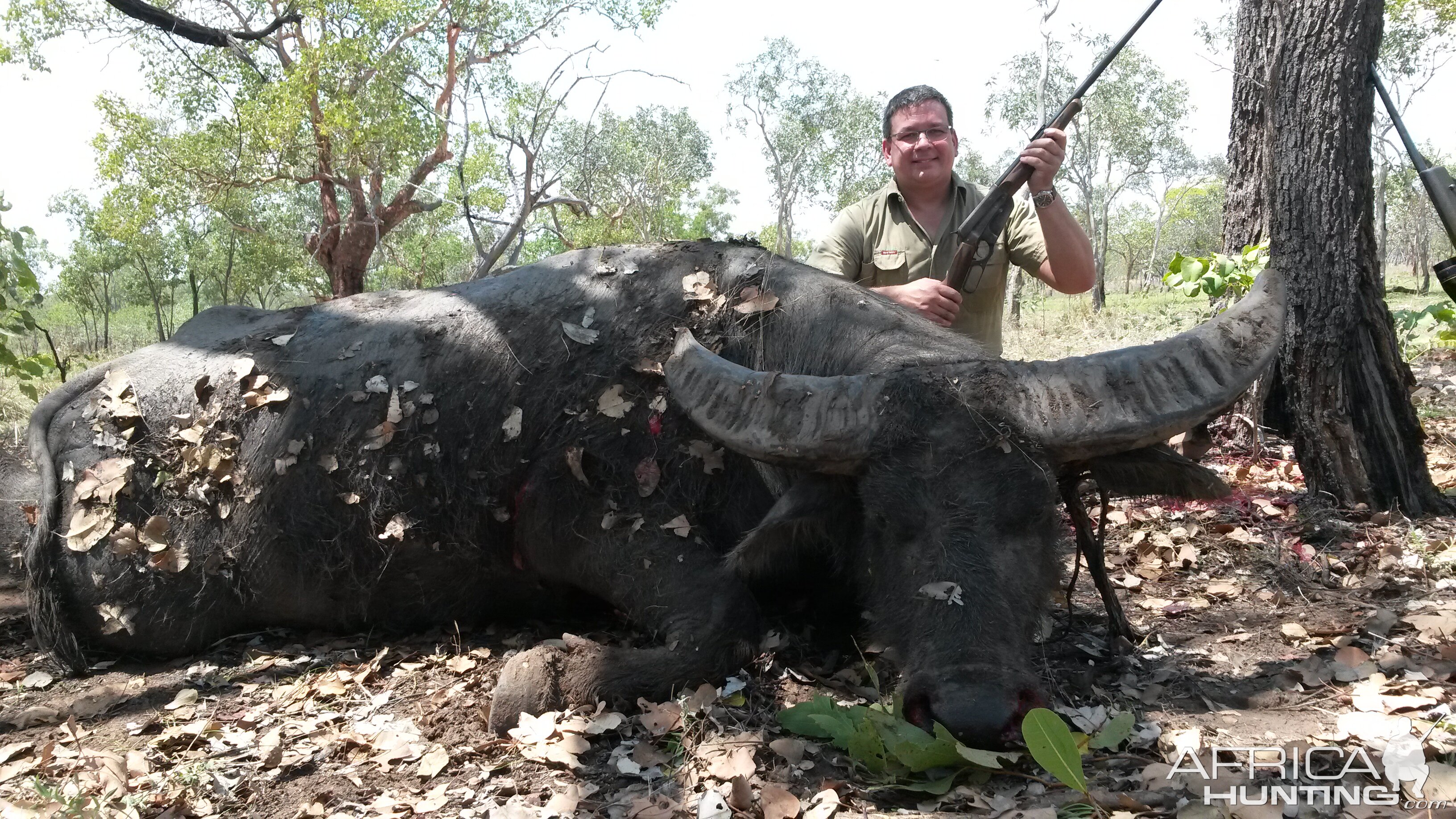 Hunting Asiatic Water Buffalo in Australia