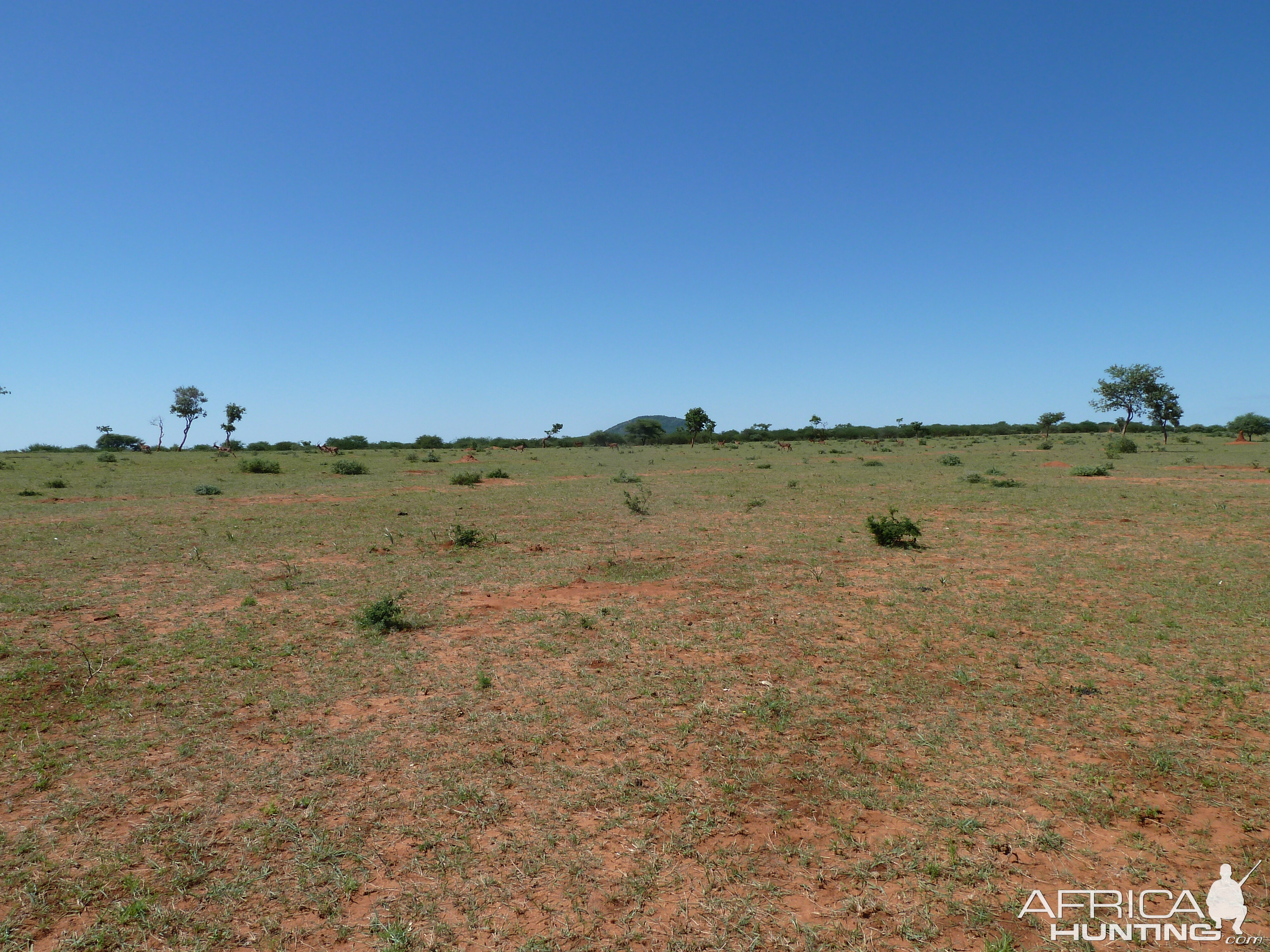 Hunting at Ozondjahe in Namibia