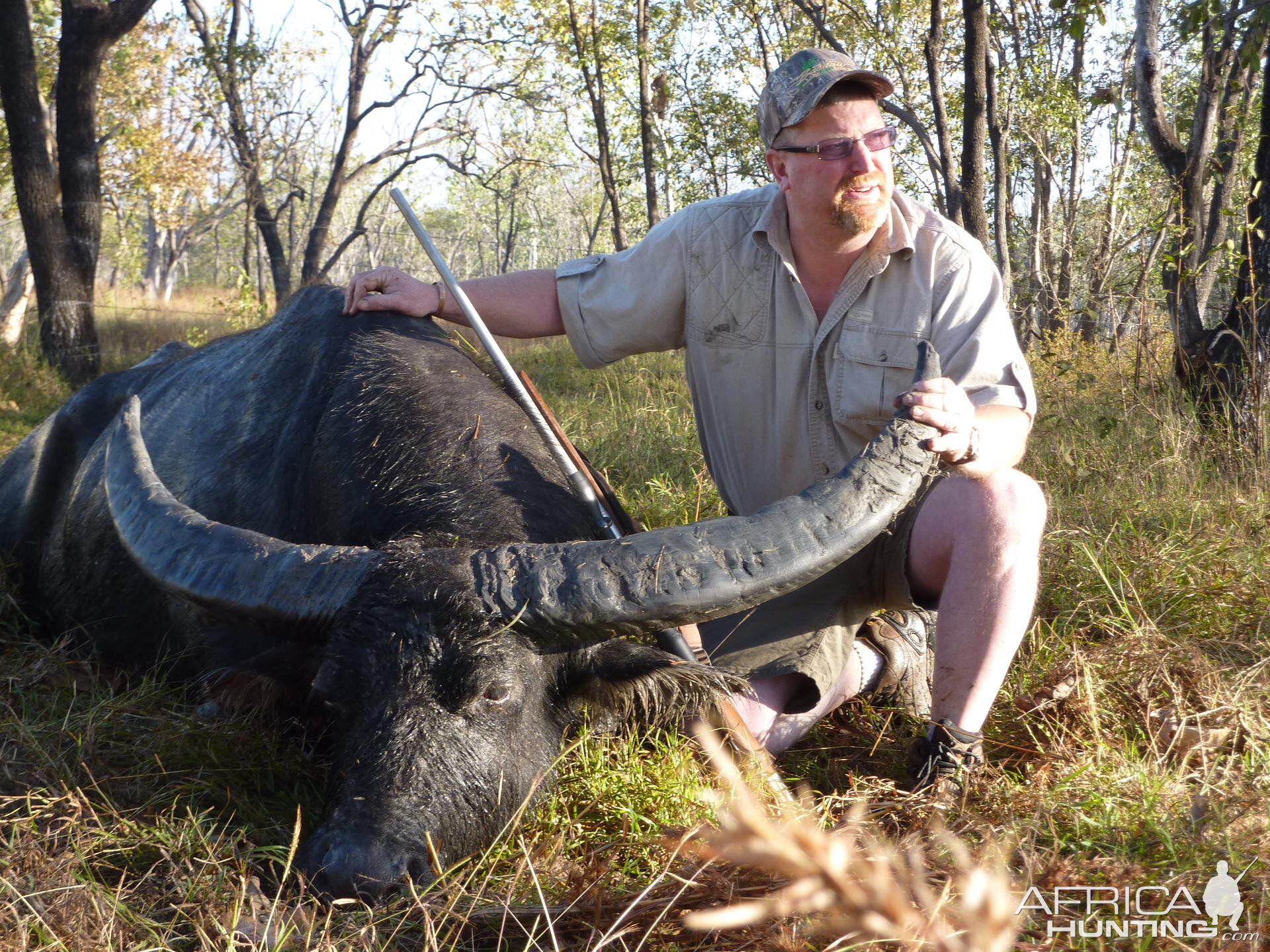 Hunting Australian Buffalo