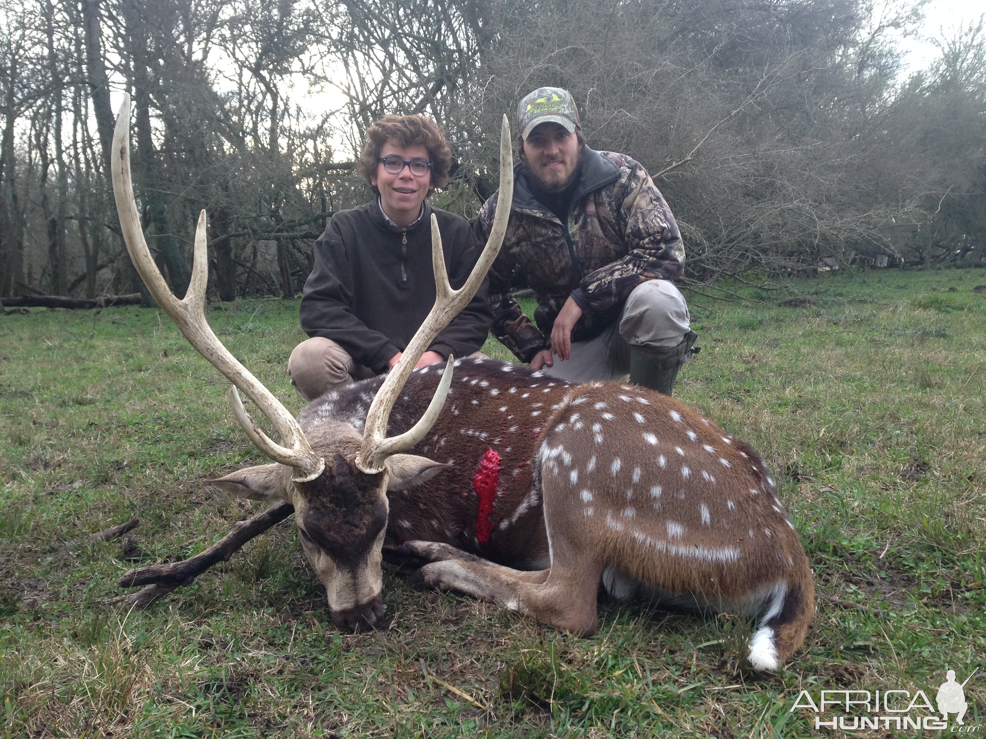 Hunting Axis Deer Argentina