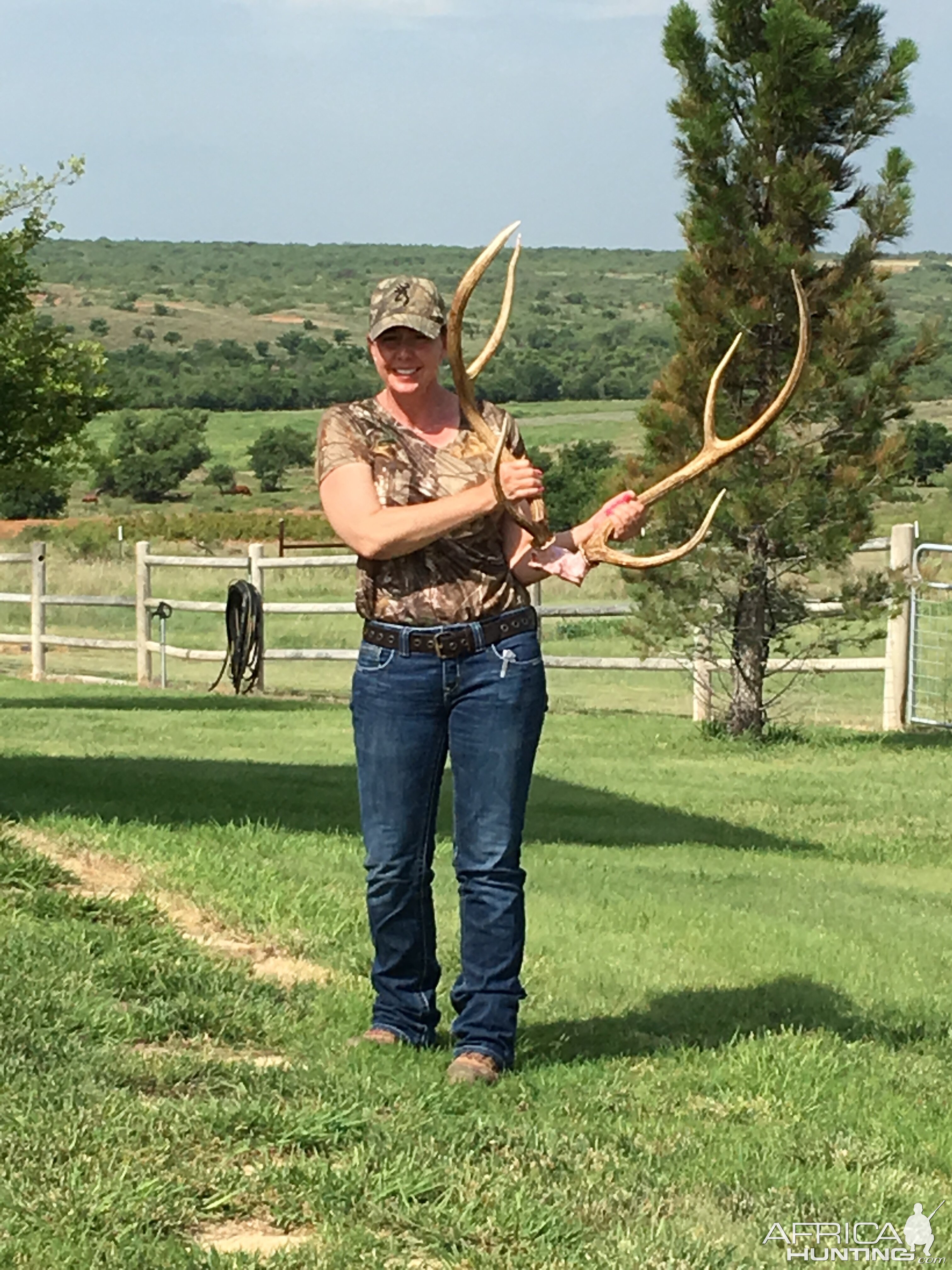 Hunting Axis Deer Texas