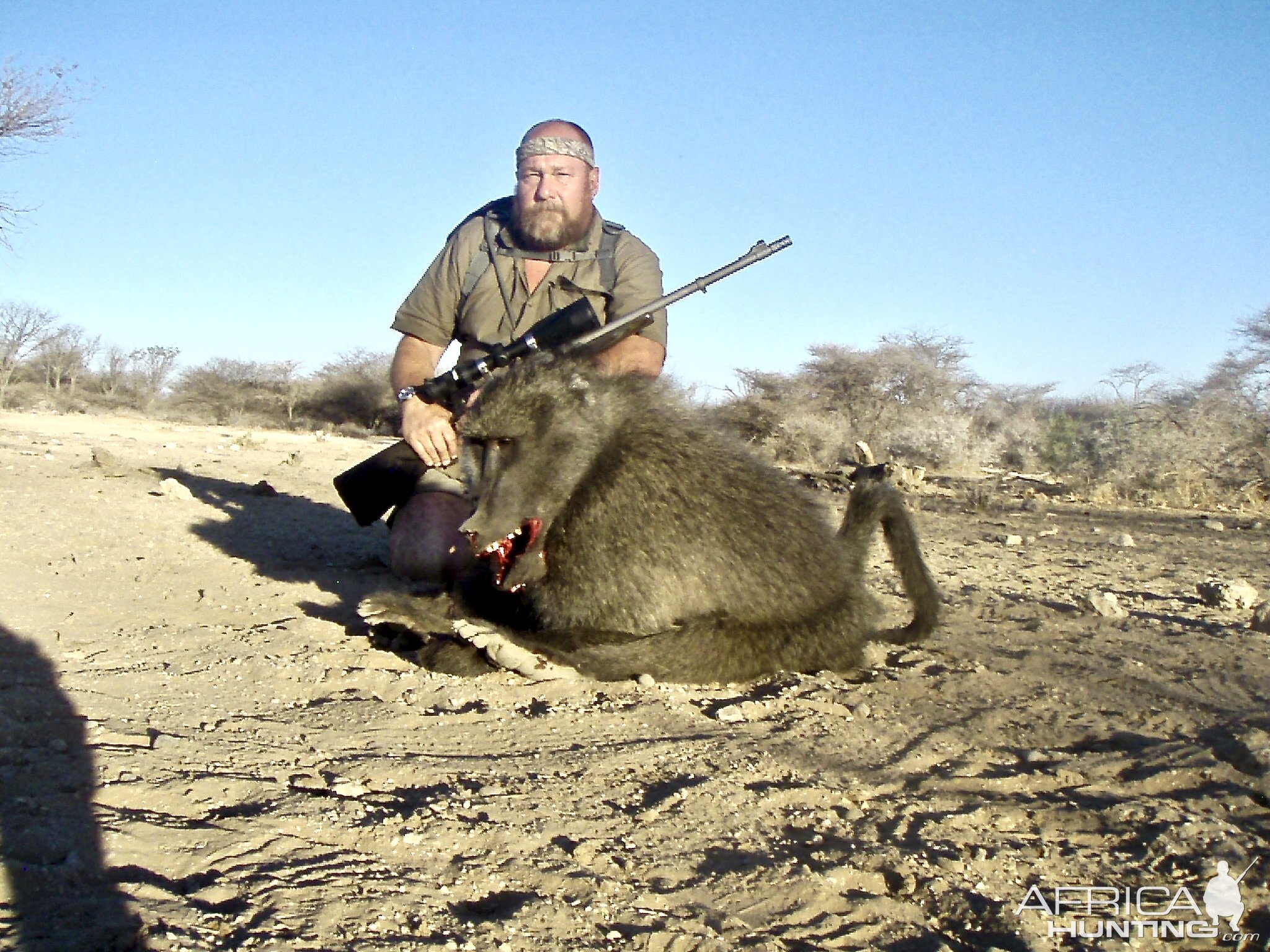 Hunting Baboon in Namibia