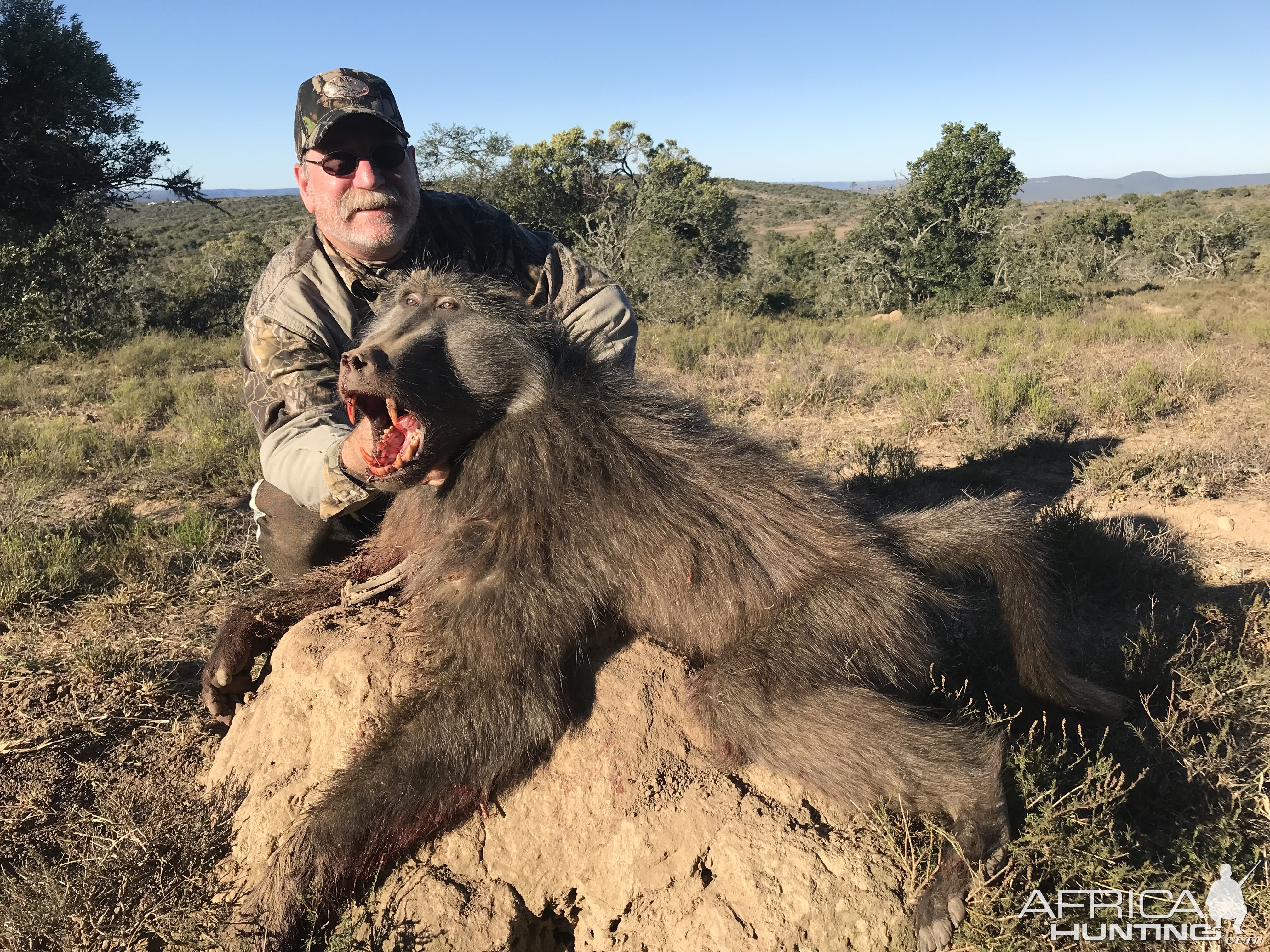 Hunting Baboon in South Africa