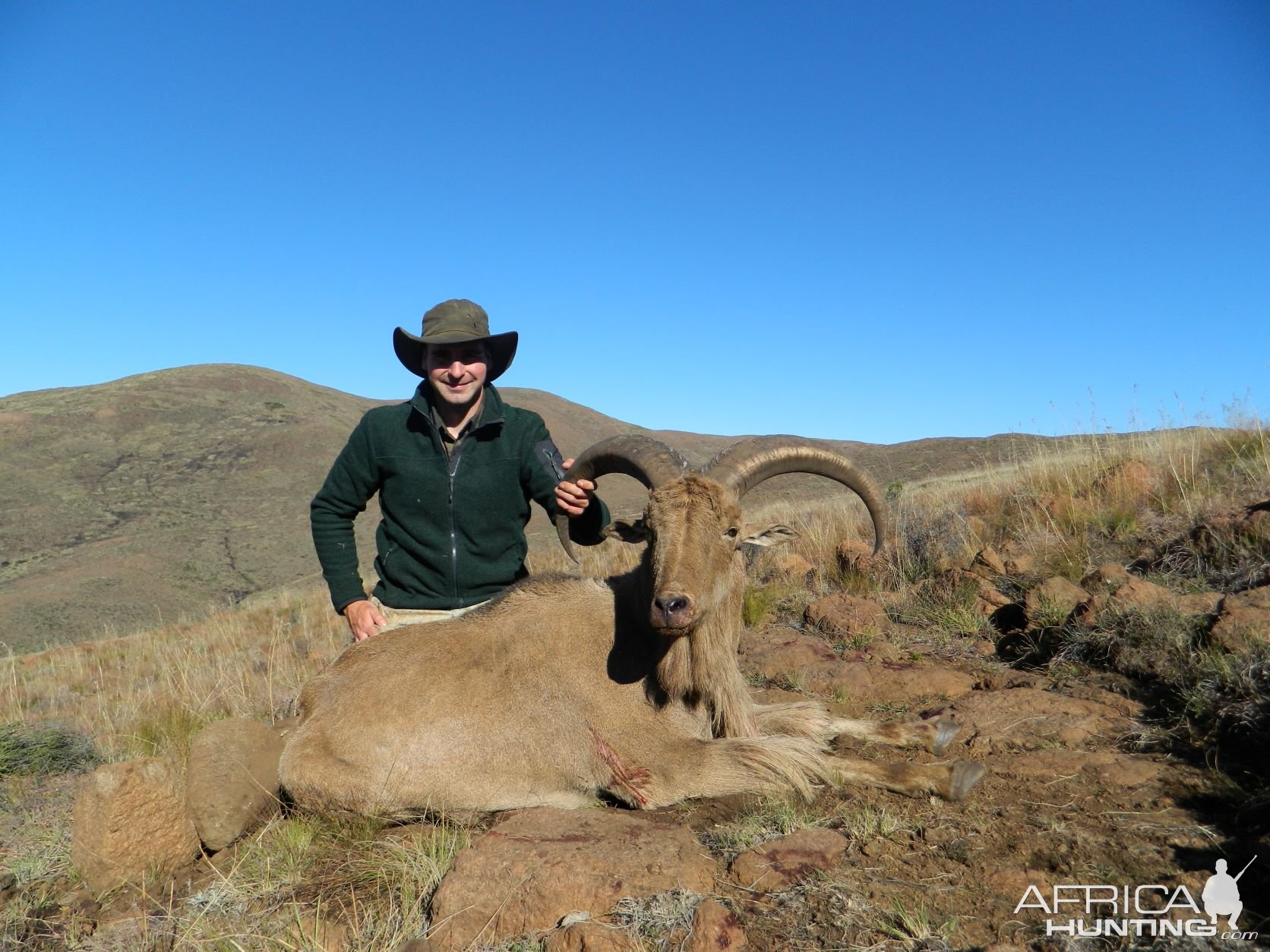 Hunting Barbary Sheep Eastern Cape