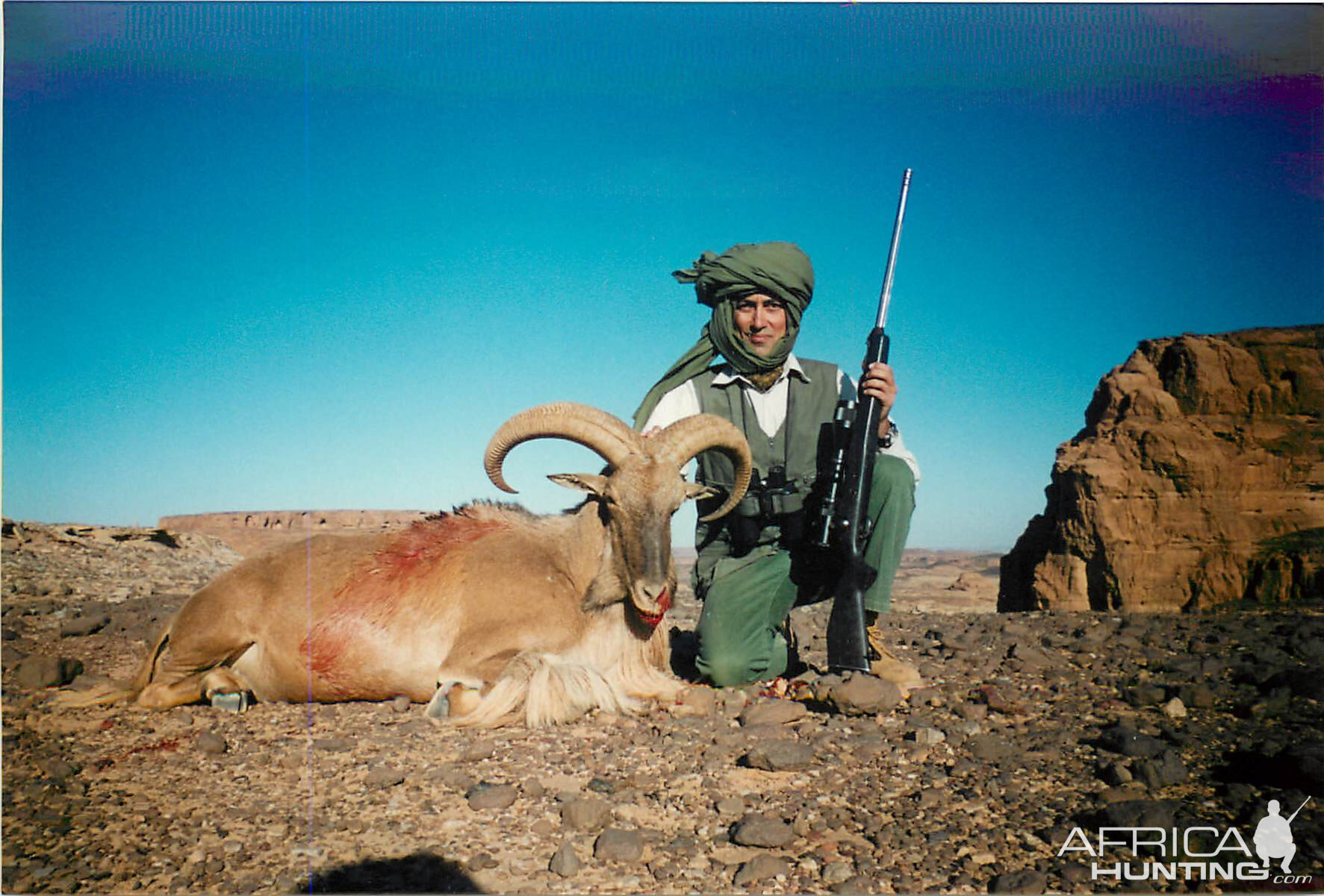 Hunting Barbary Sheep in Chad