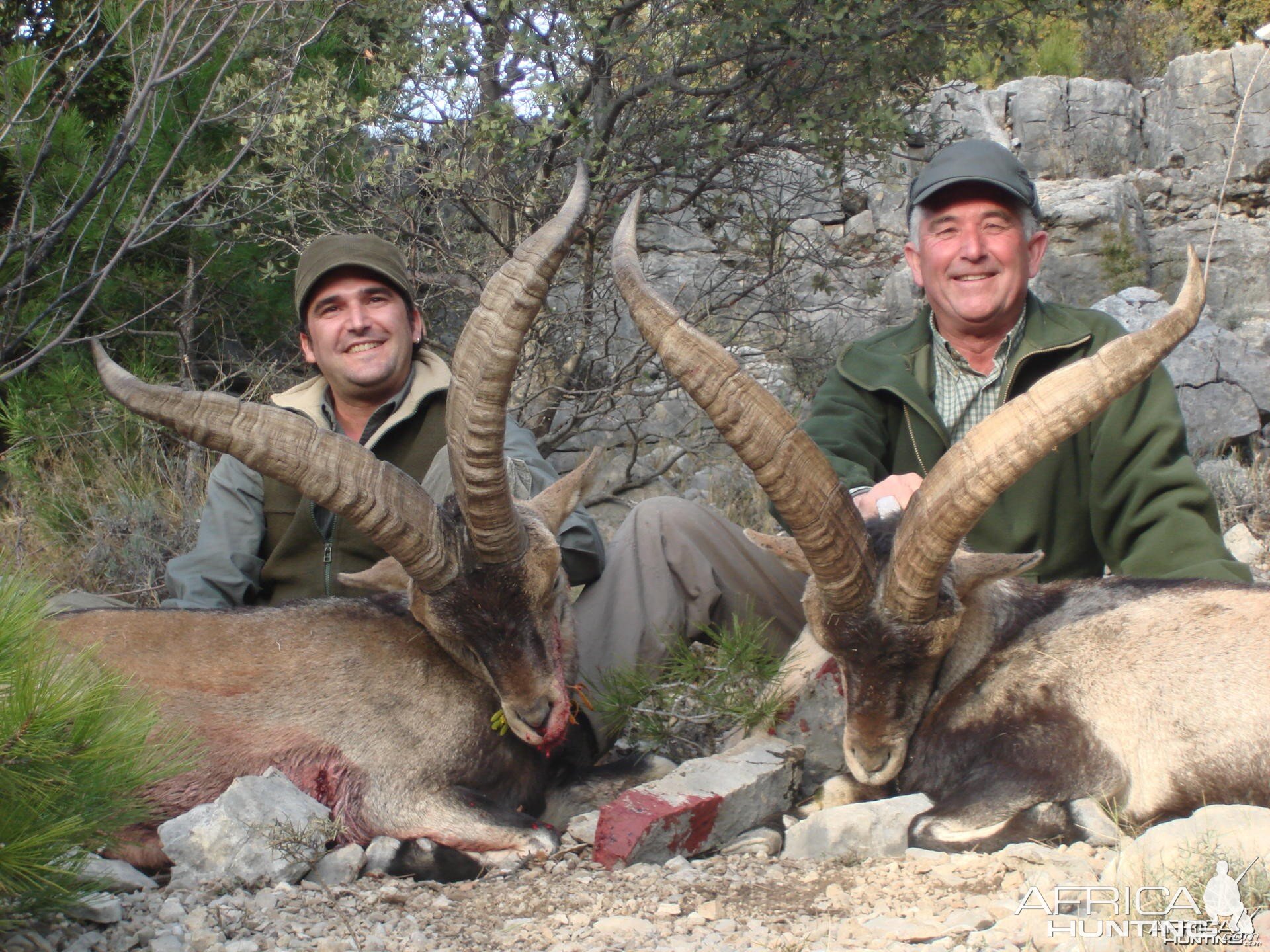 Hunting Beceite Ibex in Spain