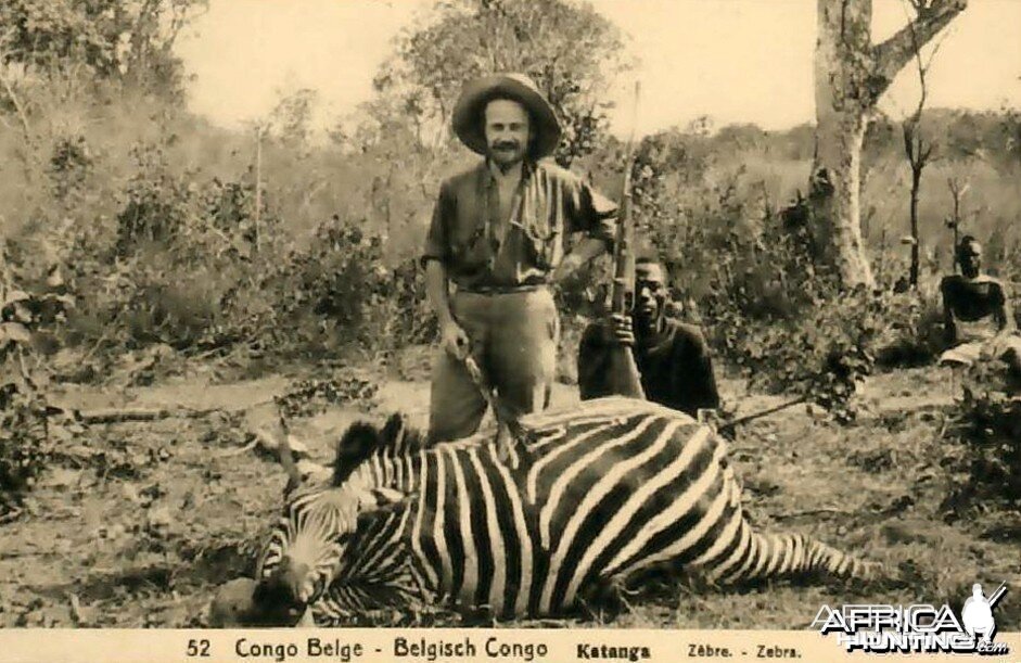 Hunting Belgian Congo, Zebra