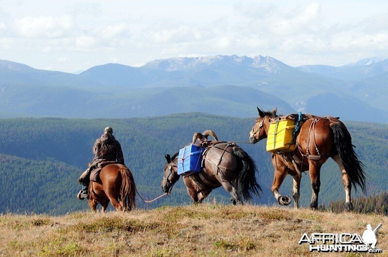 Hunting Big Horn Sheep in Southern British Columbia Canada