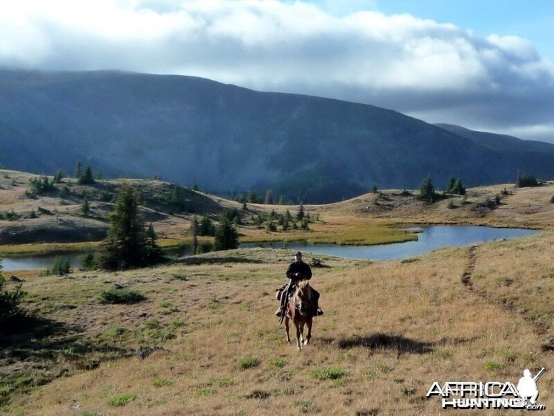 Hunting Big Horn Sheep in Southern British Columbia Canada