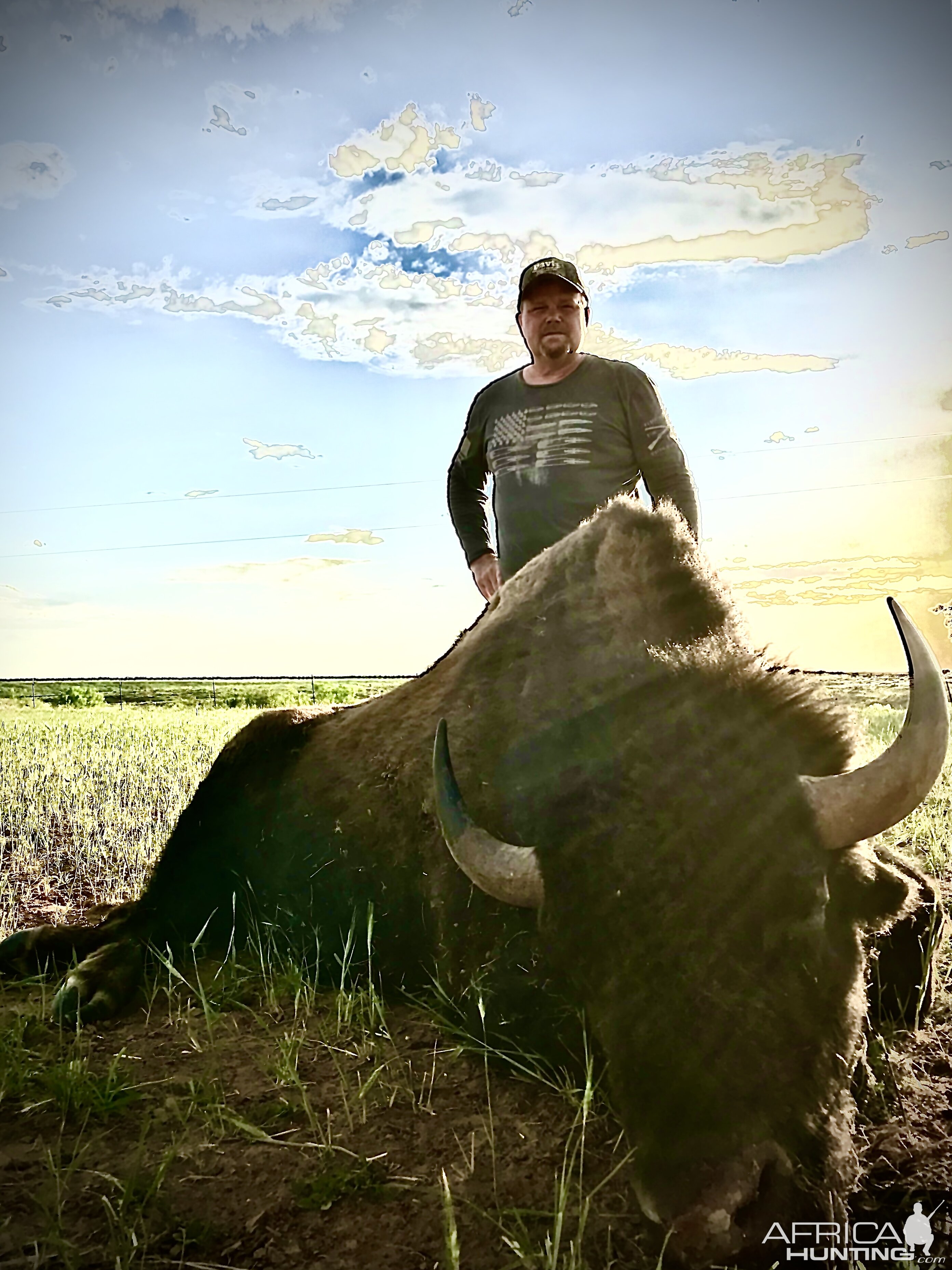 Hunting Bison In Texas USA