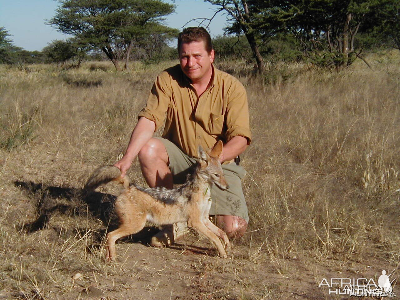 Hunting Black-backed Jackal in Namibia