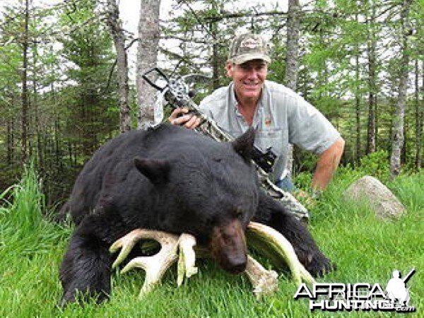 Hunting Black Bear in New Brunswick Canada