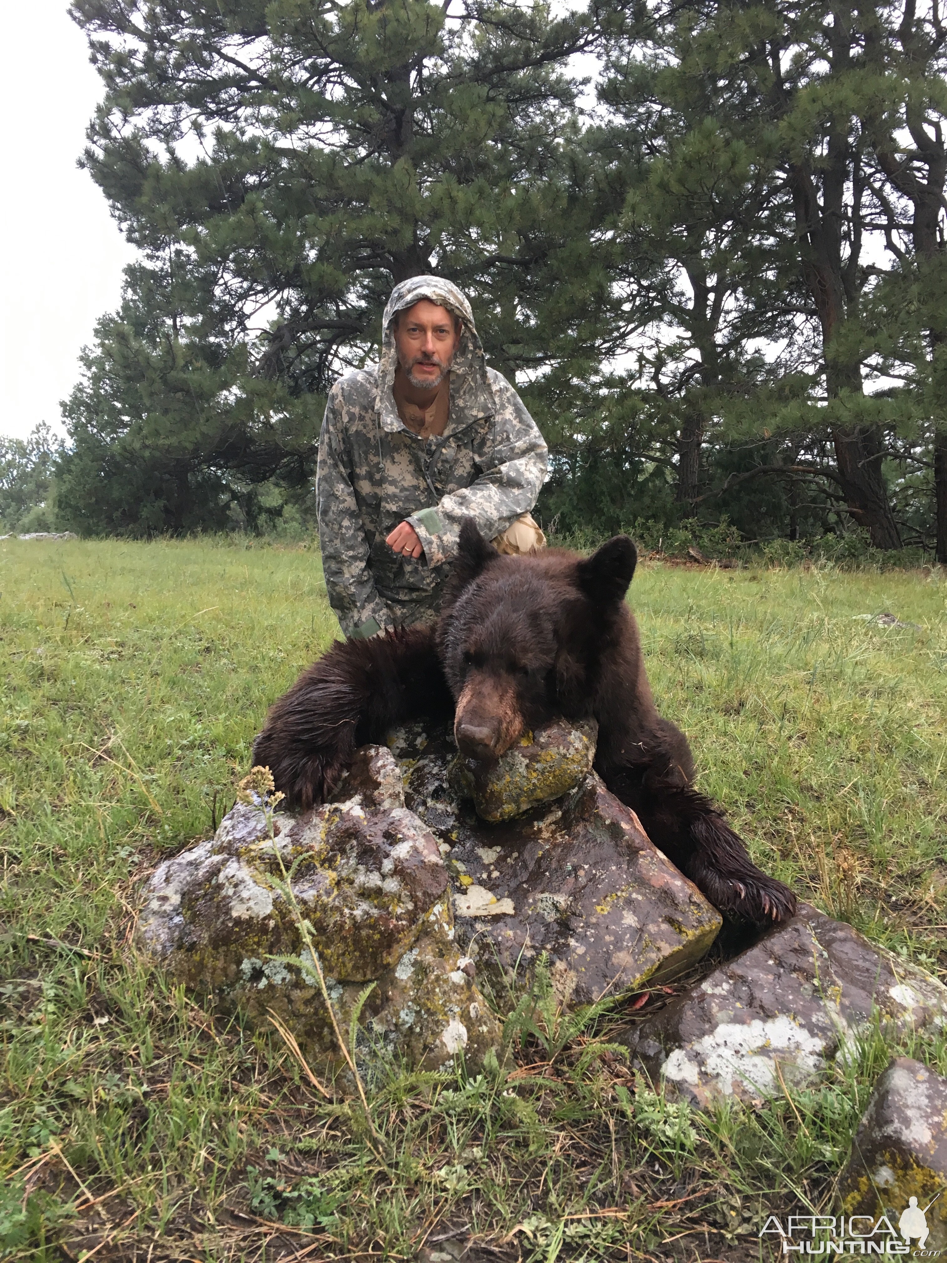 Hunting Black Bear in New Mexico USA