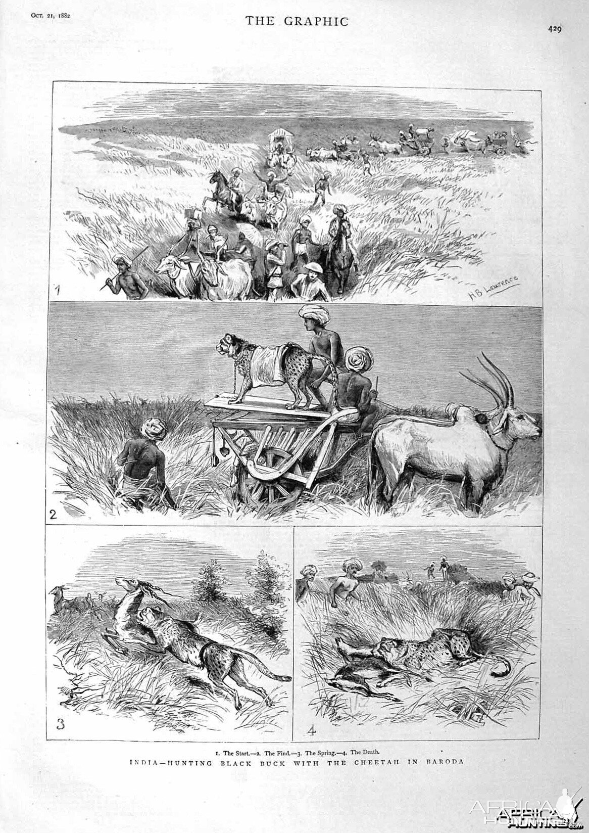 Hunting Black Buck with Cheetahs,  Baroda, India 1882