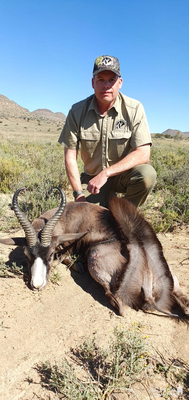 Hunting Black Springbok in South Africa