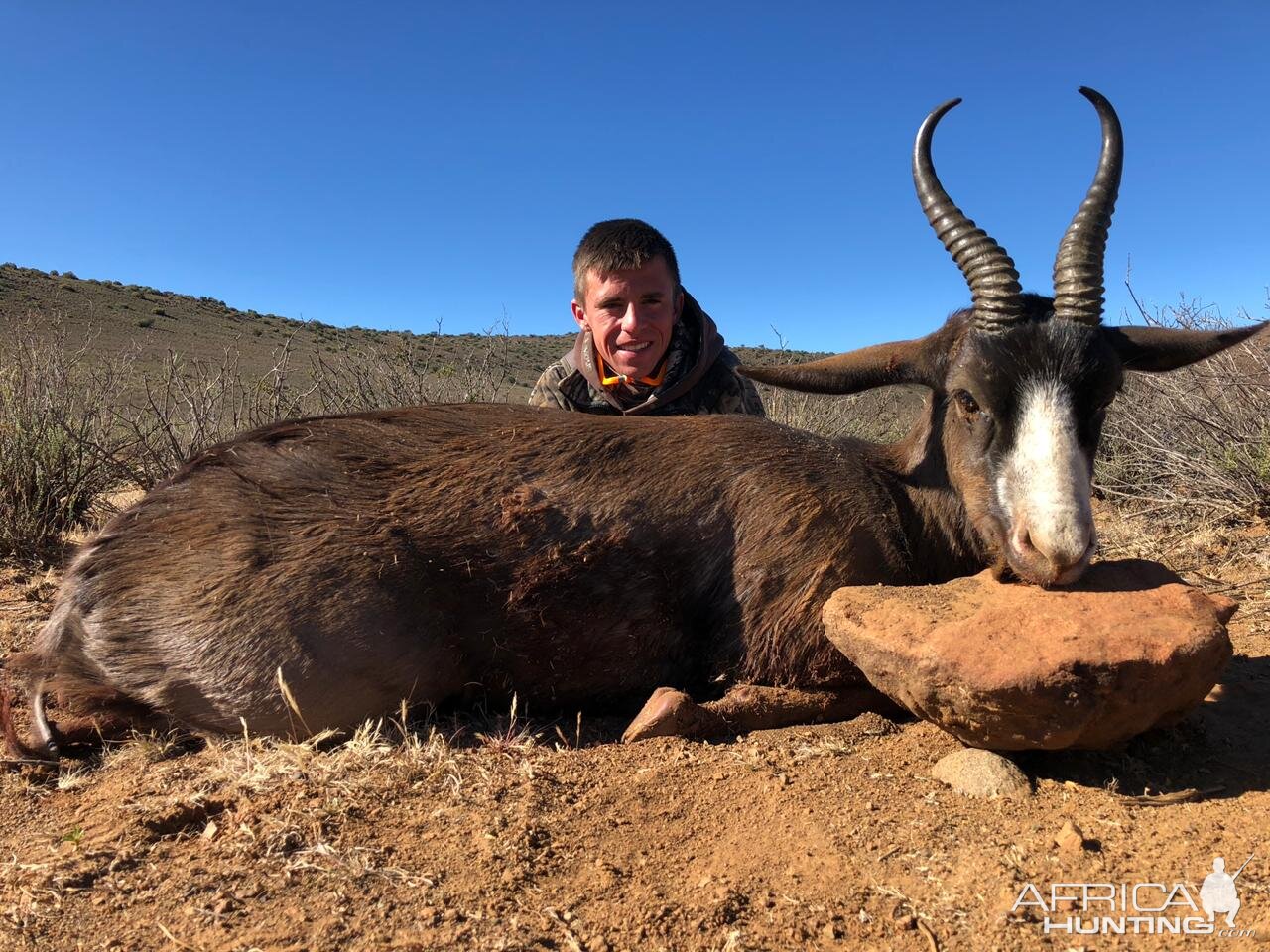 Hunting Black Springbok in South Africa