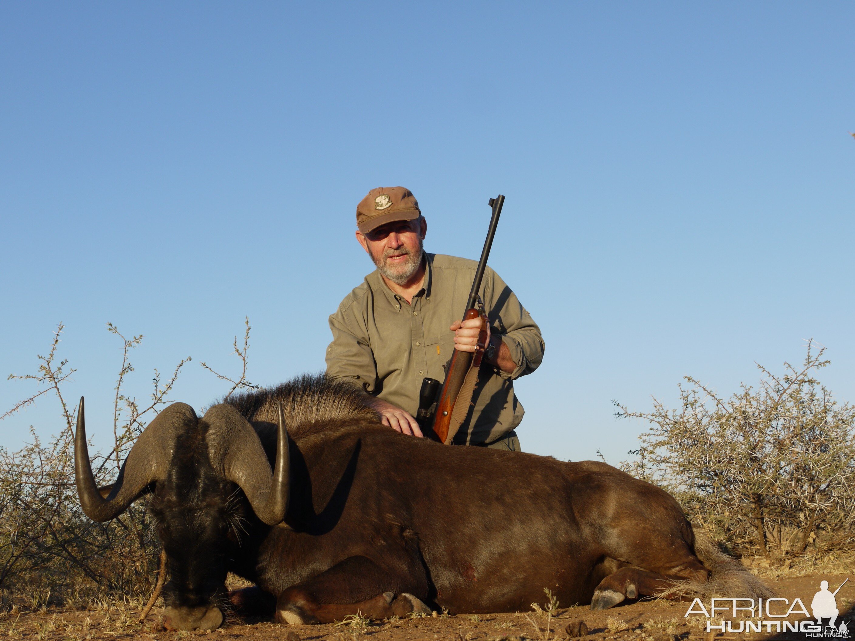 Hunting Black Wildebeest in Namibia