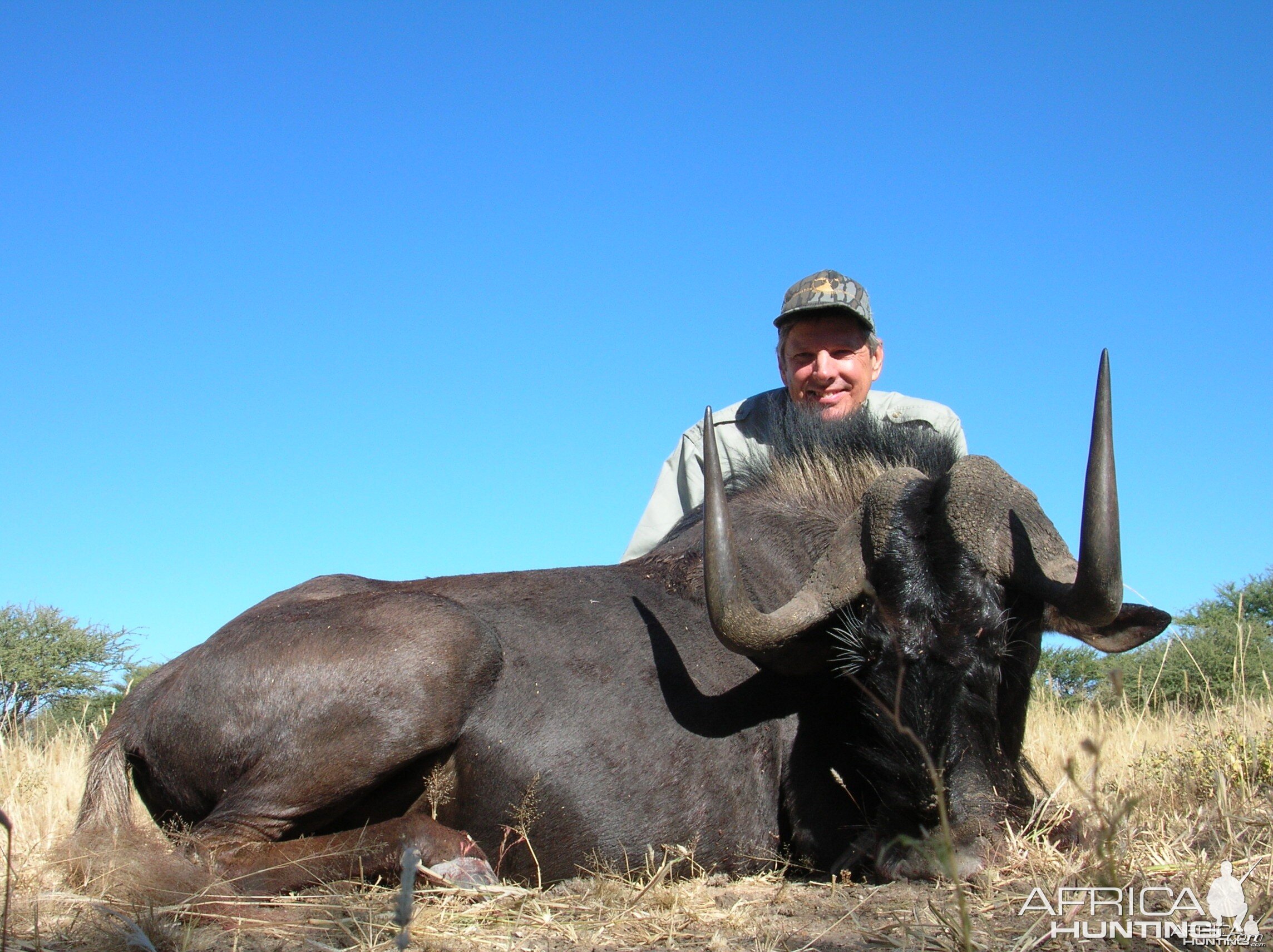 Hunting Black Wildebeest in Namibia