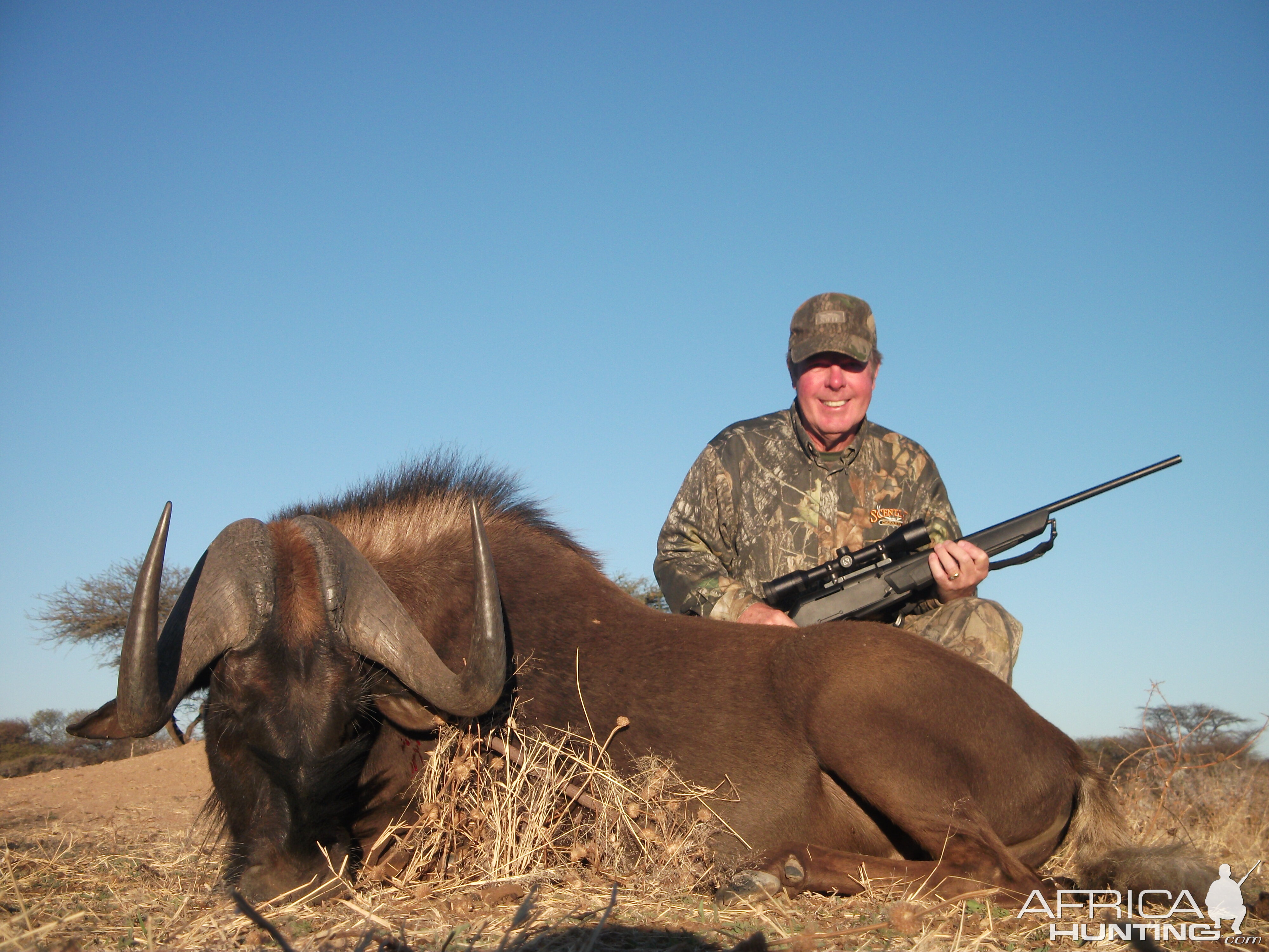 Hunting Black Wildebeest in Namibia