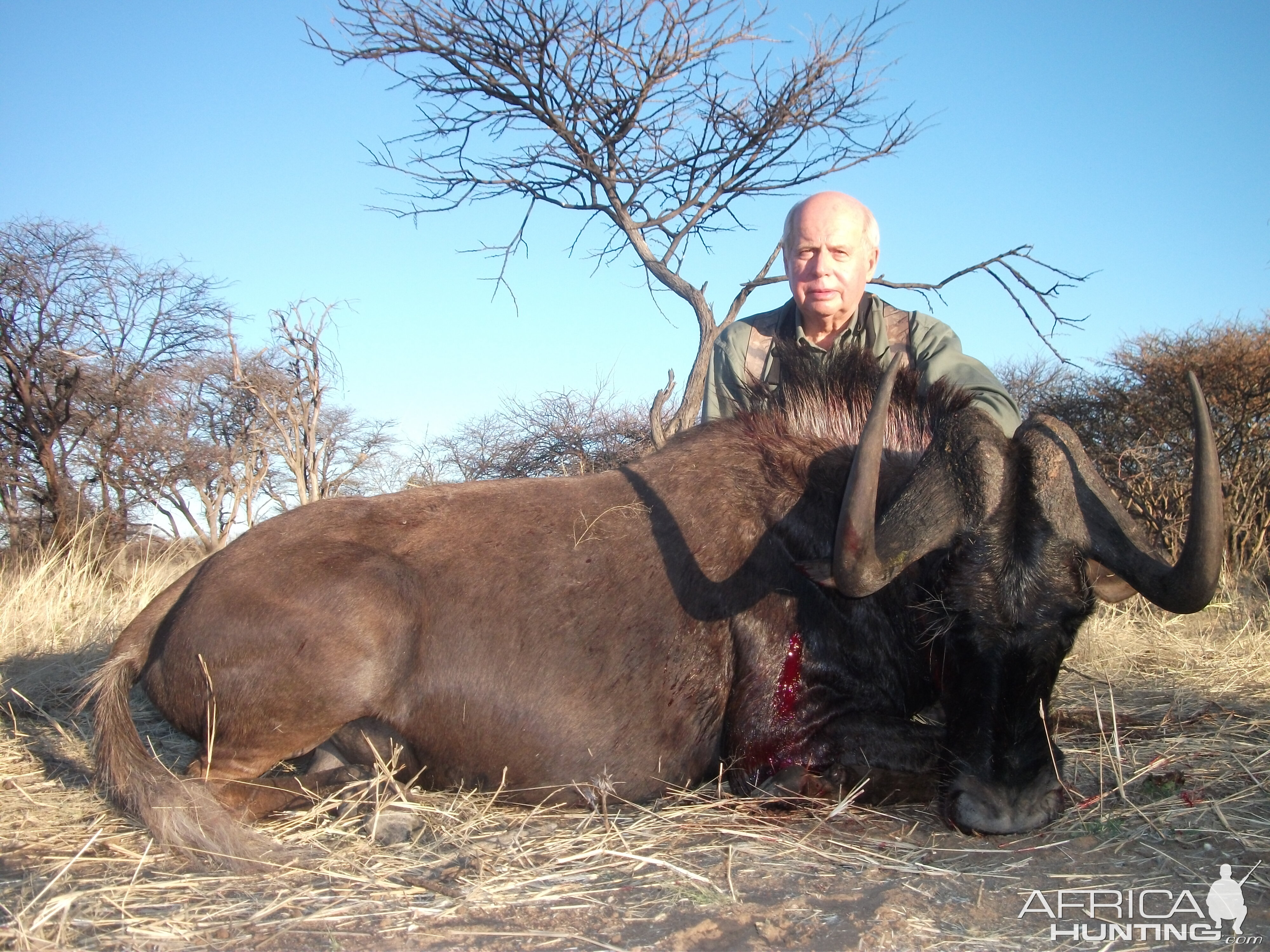 Hunting Black Wildebeest in Namibia