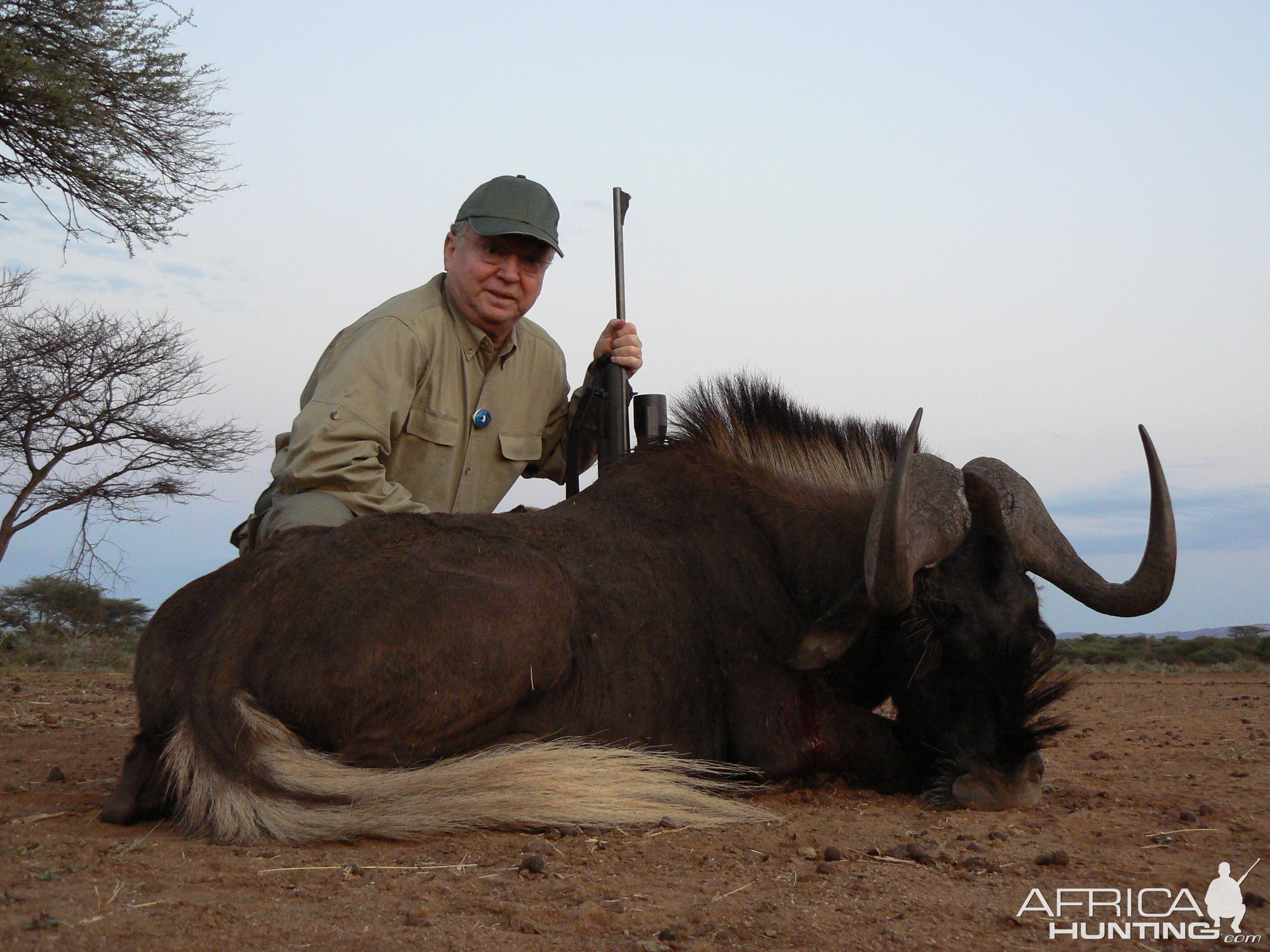 Hunting Black Wildebeest in Namibia