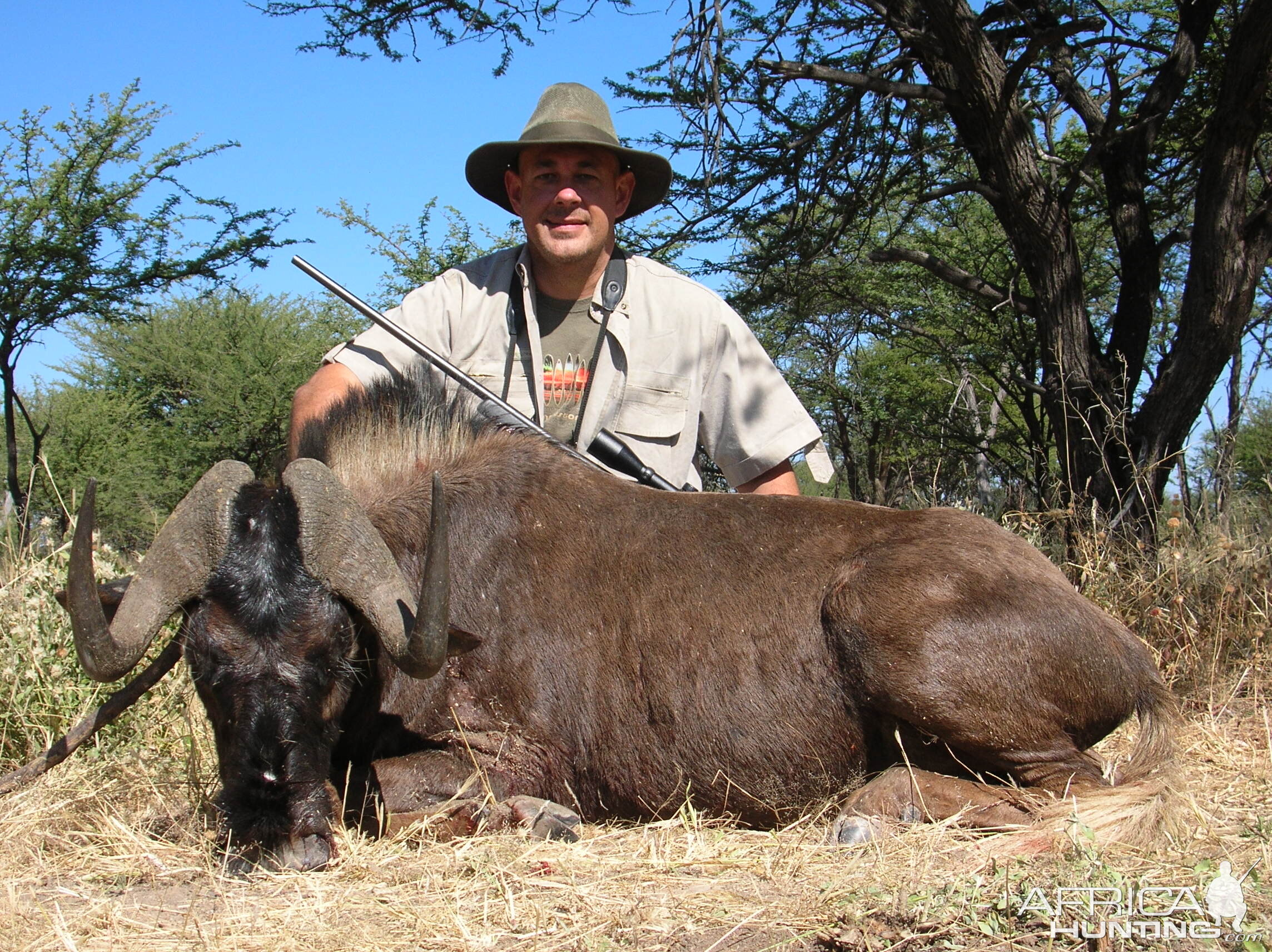 Hunting Black Wildebeest in Namibia