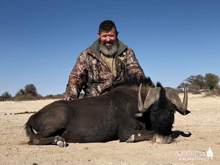 Hunting Black Wildebeest in Namibia