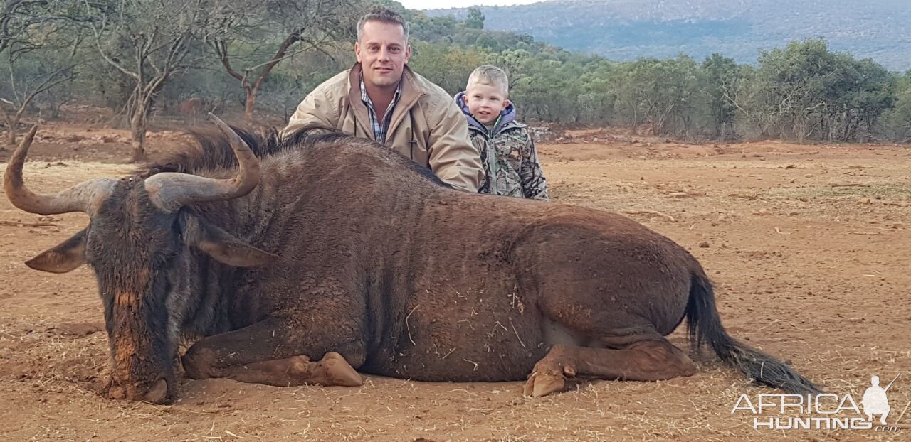 Hunting Black Wildebeest in South Africa