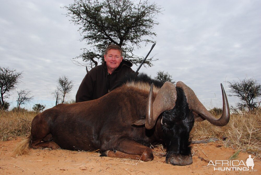 Hunting Black Wildebeest in South Africa