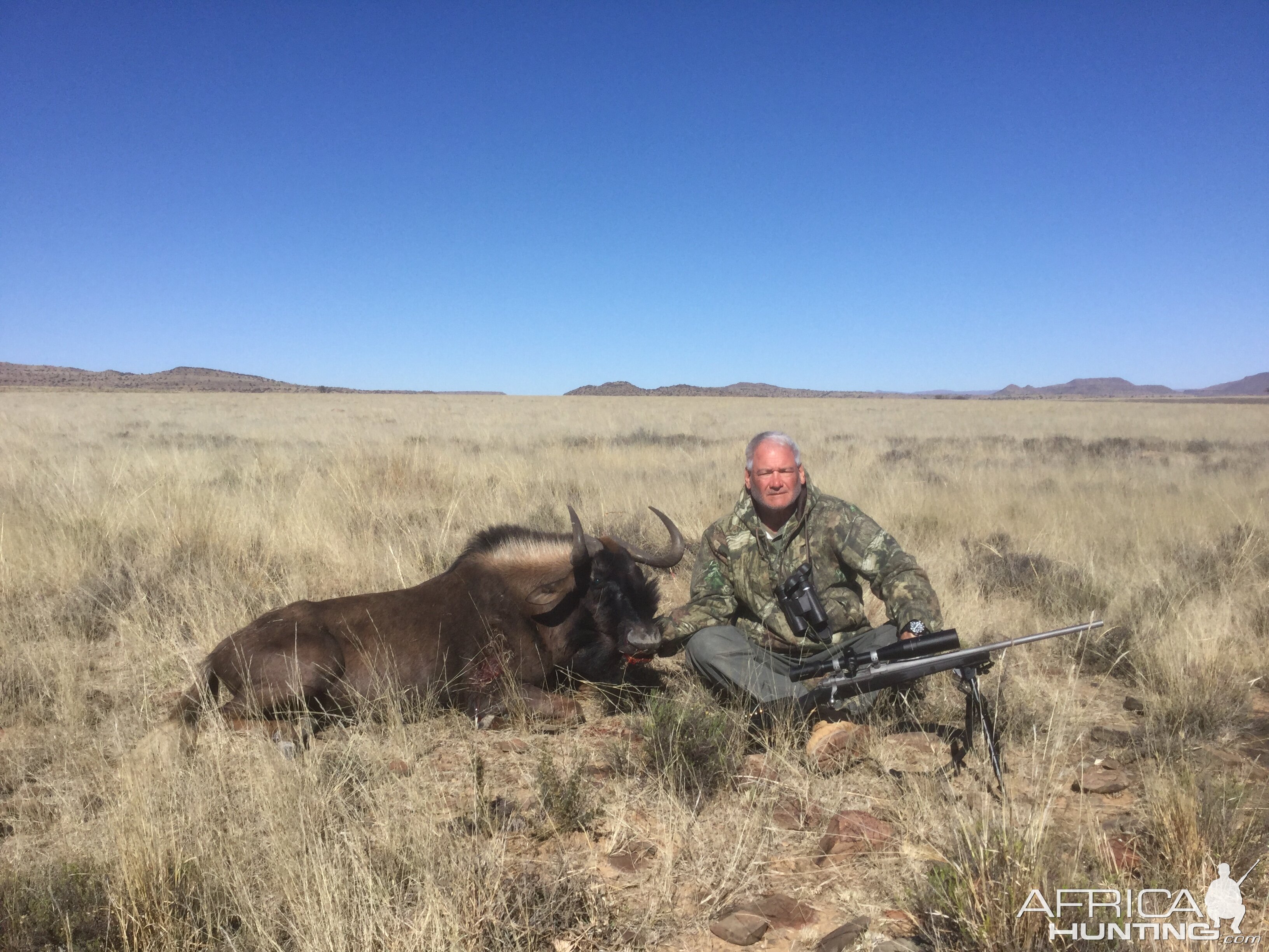 Hunting Black WIldebeest in South Africa