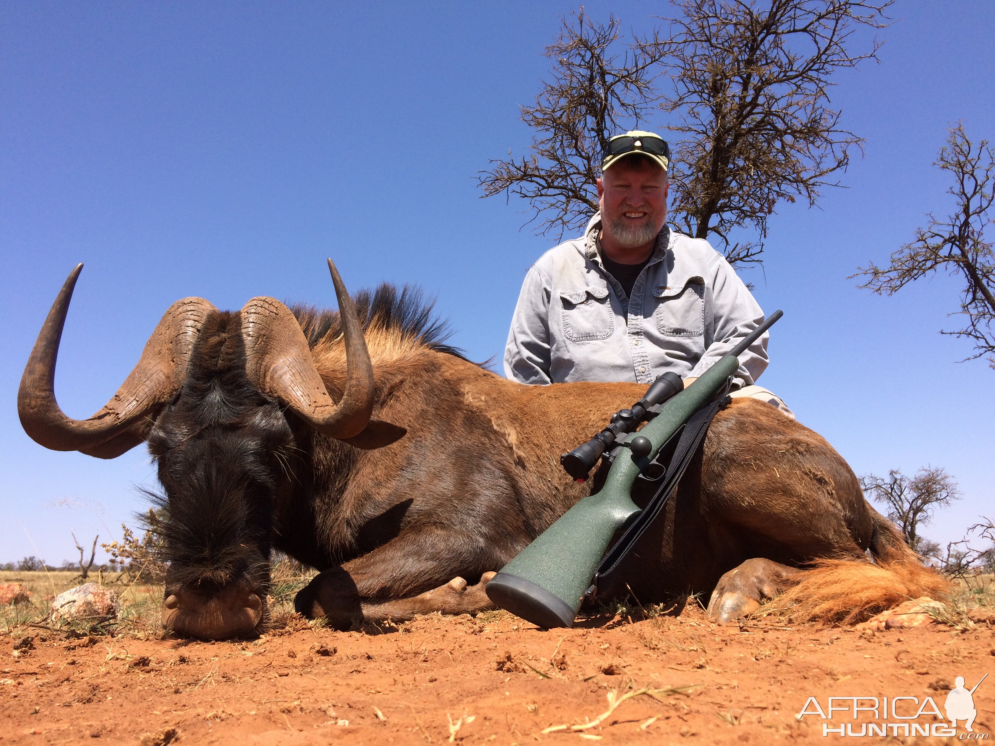 Hunting Black WIldebeest in South Africa