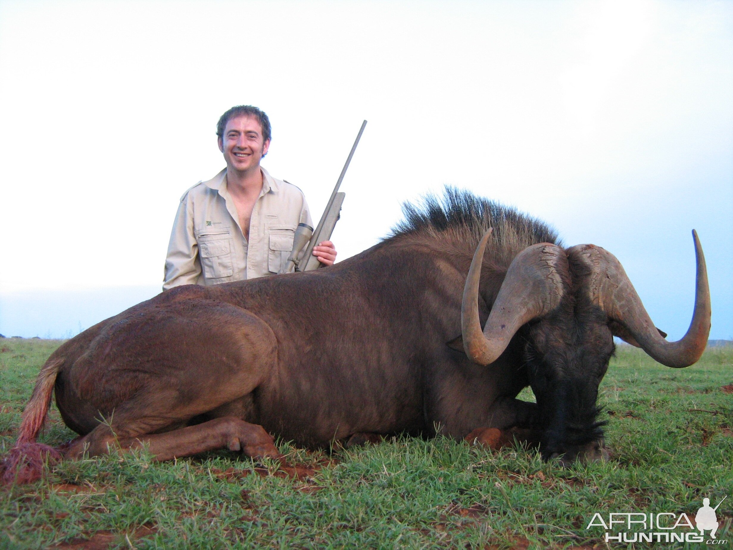 Hunting Black Wildebeest with Wintershoek Johnny Vivier Safaris in SA