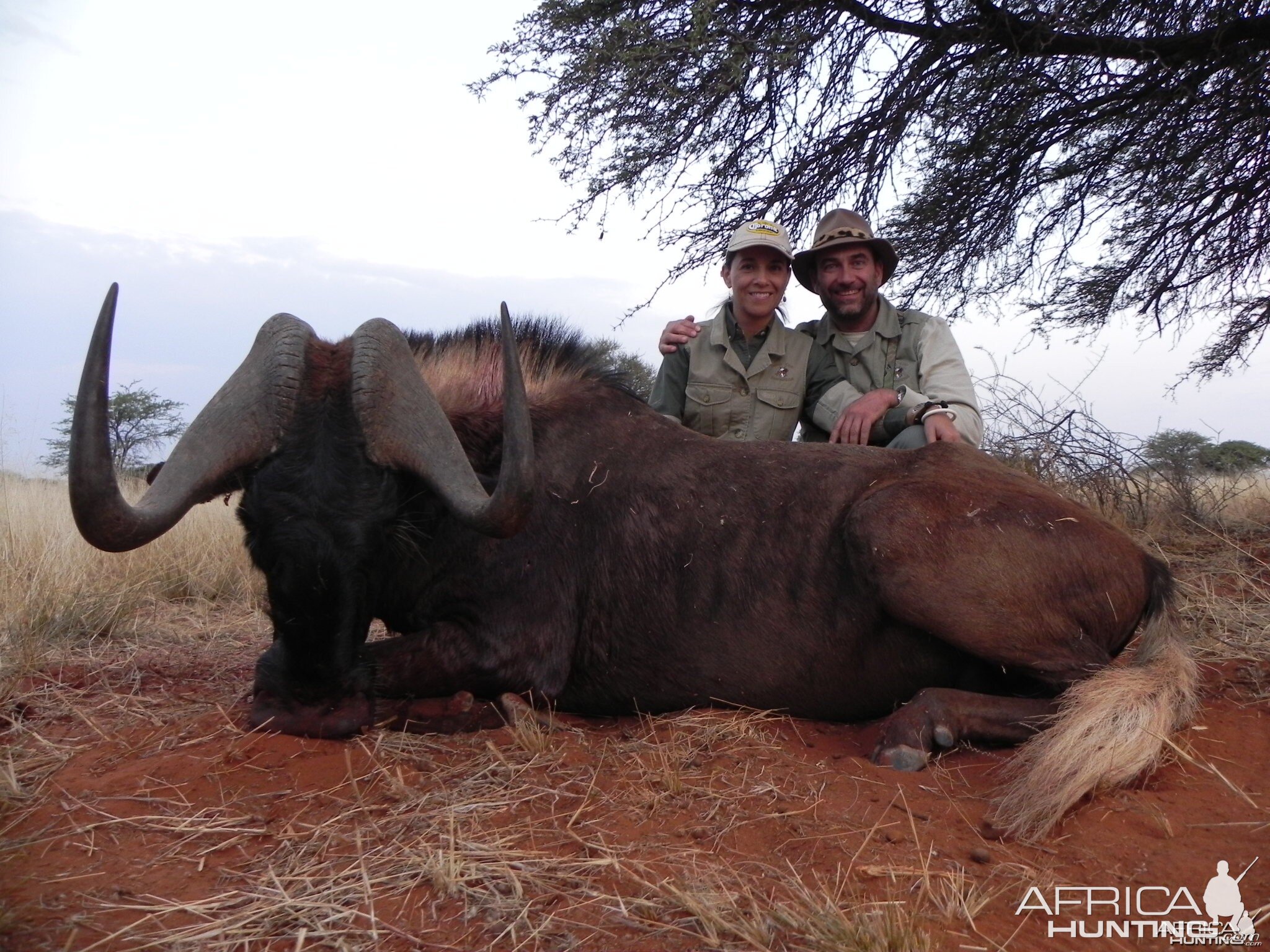 Hunting Black Wildebeest with Wintershoek Johnny Vivier Safaris in SA